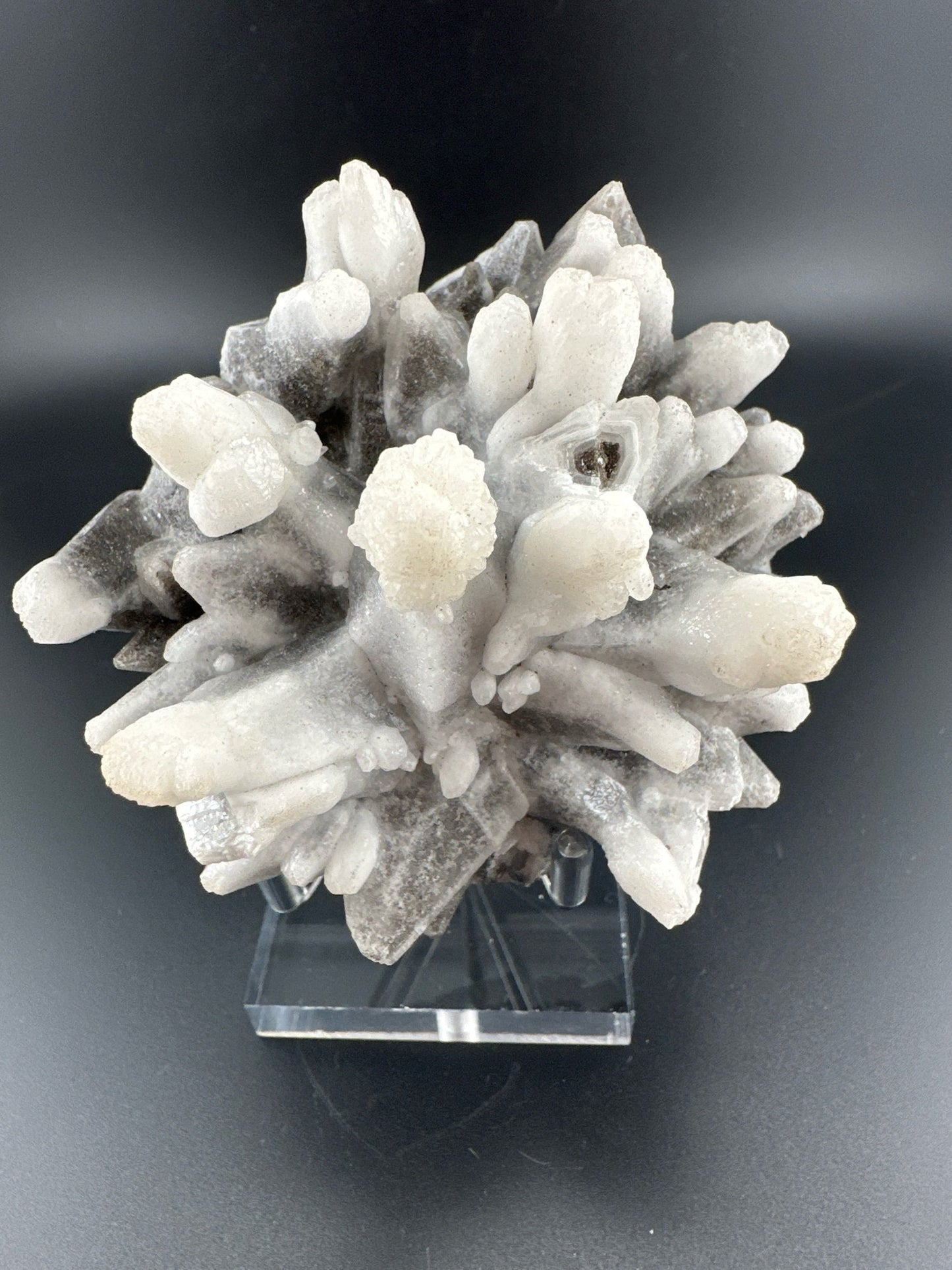 Snowball-tipped Dogtooth Calcite, Santa Eulalia, Mexico
