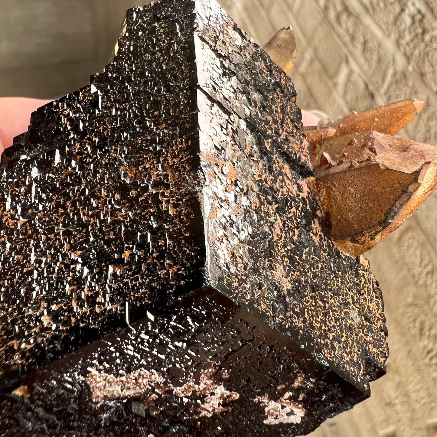 Smoky Quartz, Black Tourmaline (schorl) with Benz termination, Erongo Mtns, Namibia