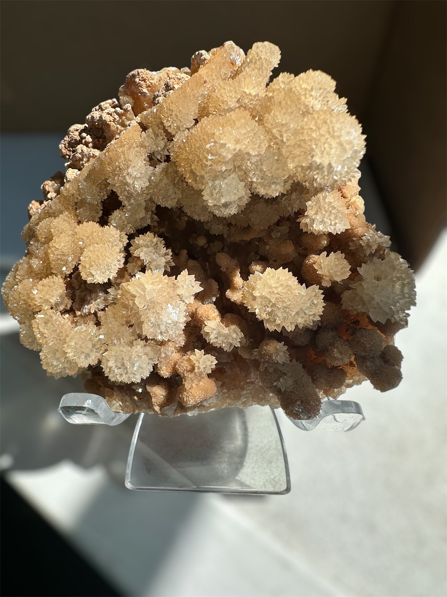 Cave Calcite flowers, Wenshan, Yunnan, China