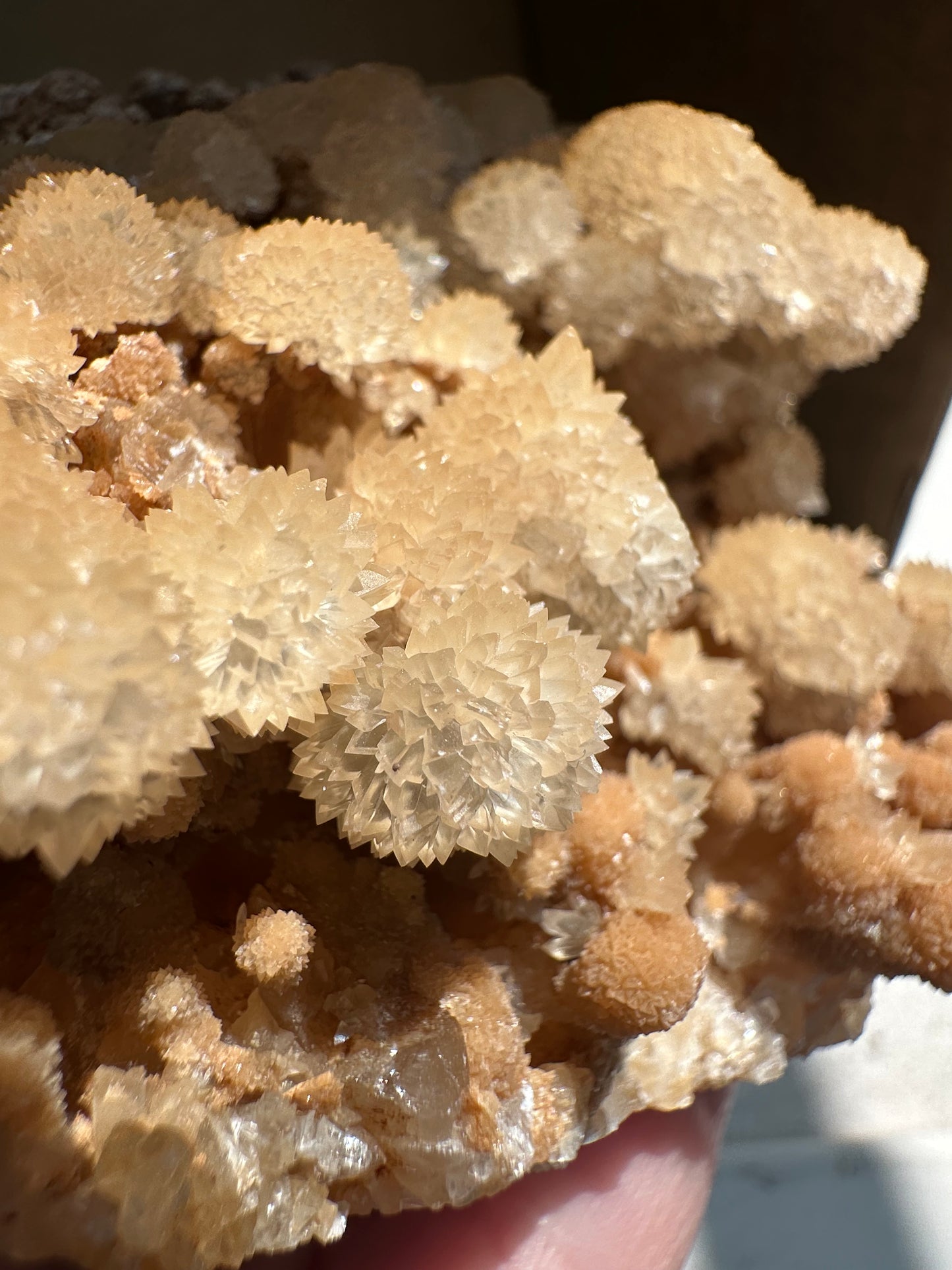 Cave Calcite flowers, Wenshan, Yunnan, China
