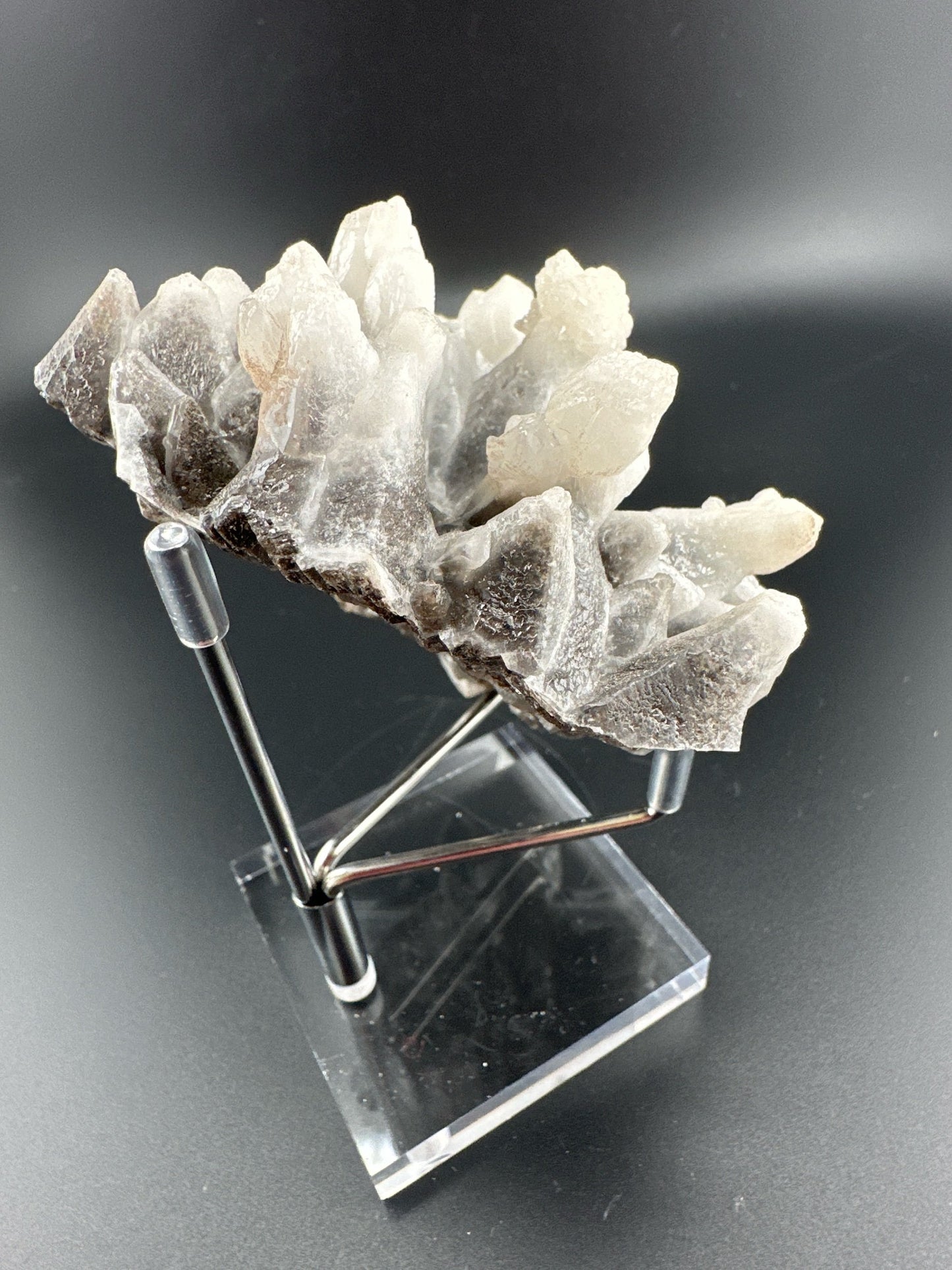 Snowball-tipped Dogtooth Calcite, Santa Eulalia, Mexico