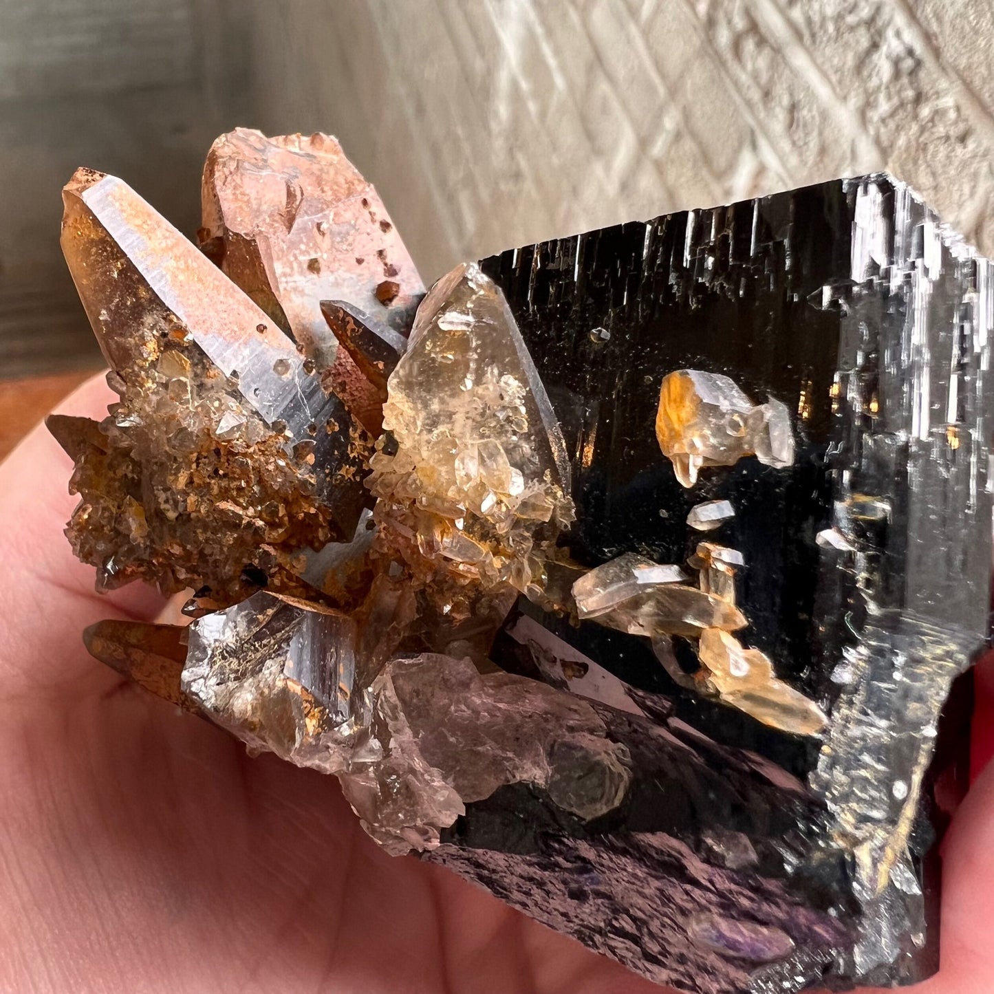 Smoky Quartz, Black Tourmaline (schorl) with Benz termination, Erongo Mtns, Namibia