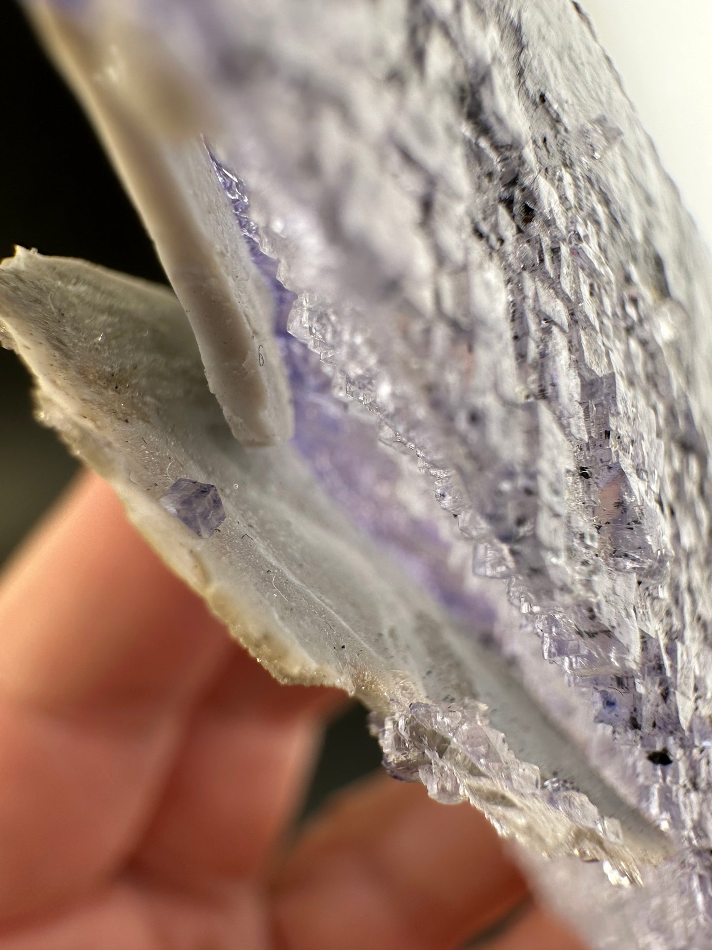 Elmwood Fluorite with spots, semi floater