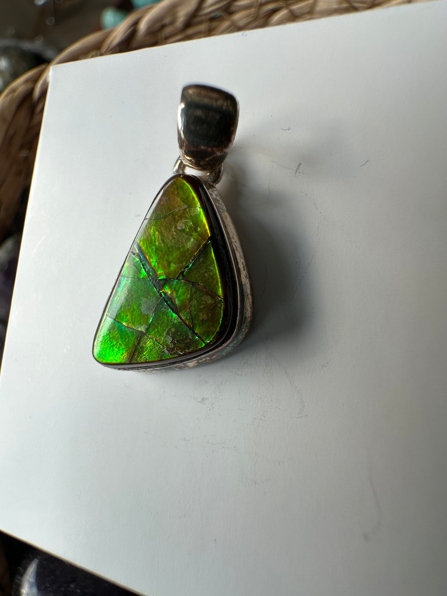 Rainbow Ammolite Fossil pendant- Choose
