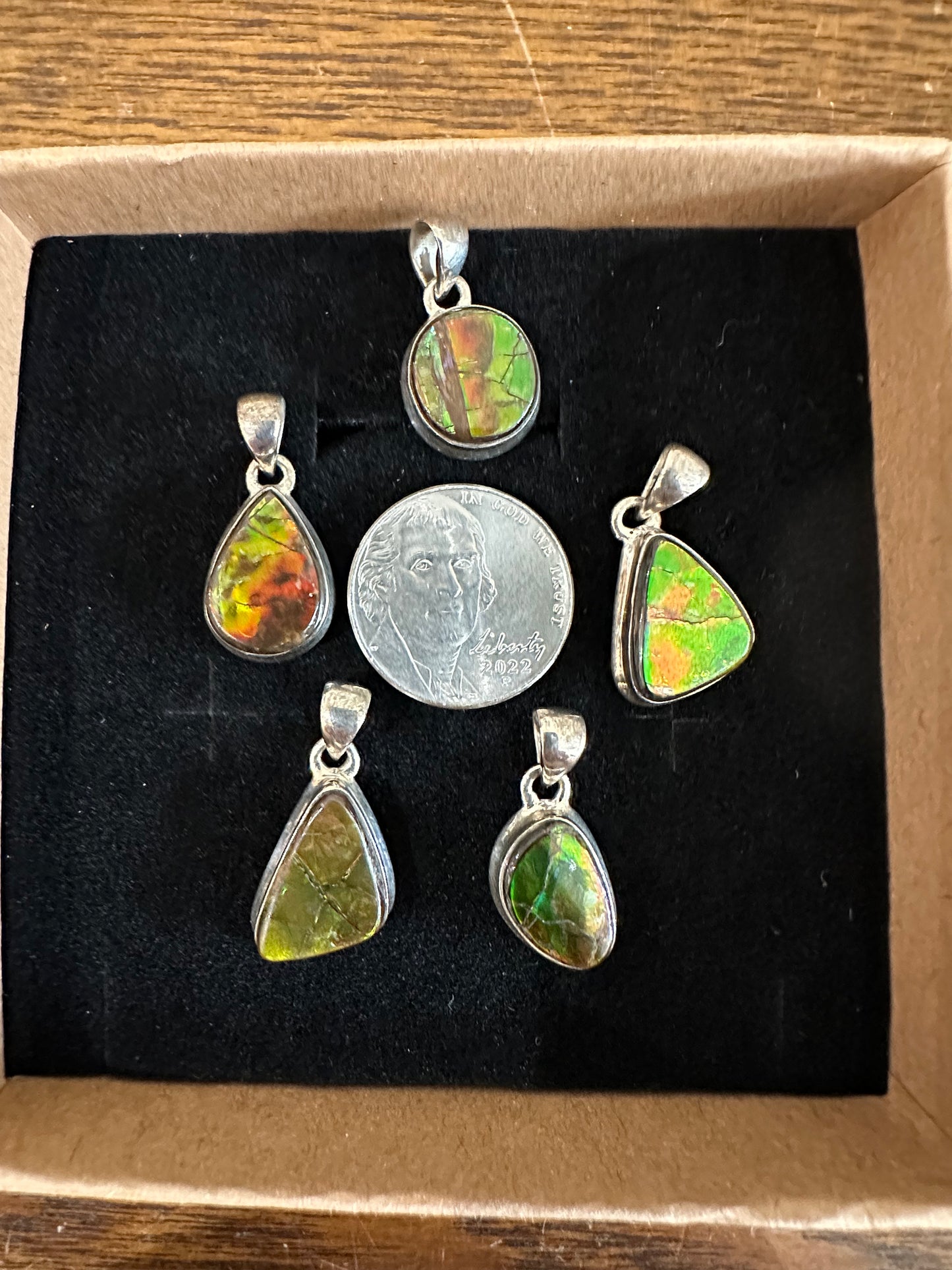 Rainbow Ammolite Fossil pendant- Choose