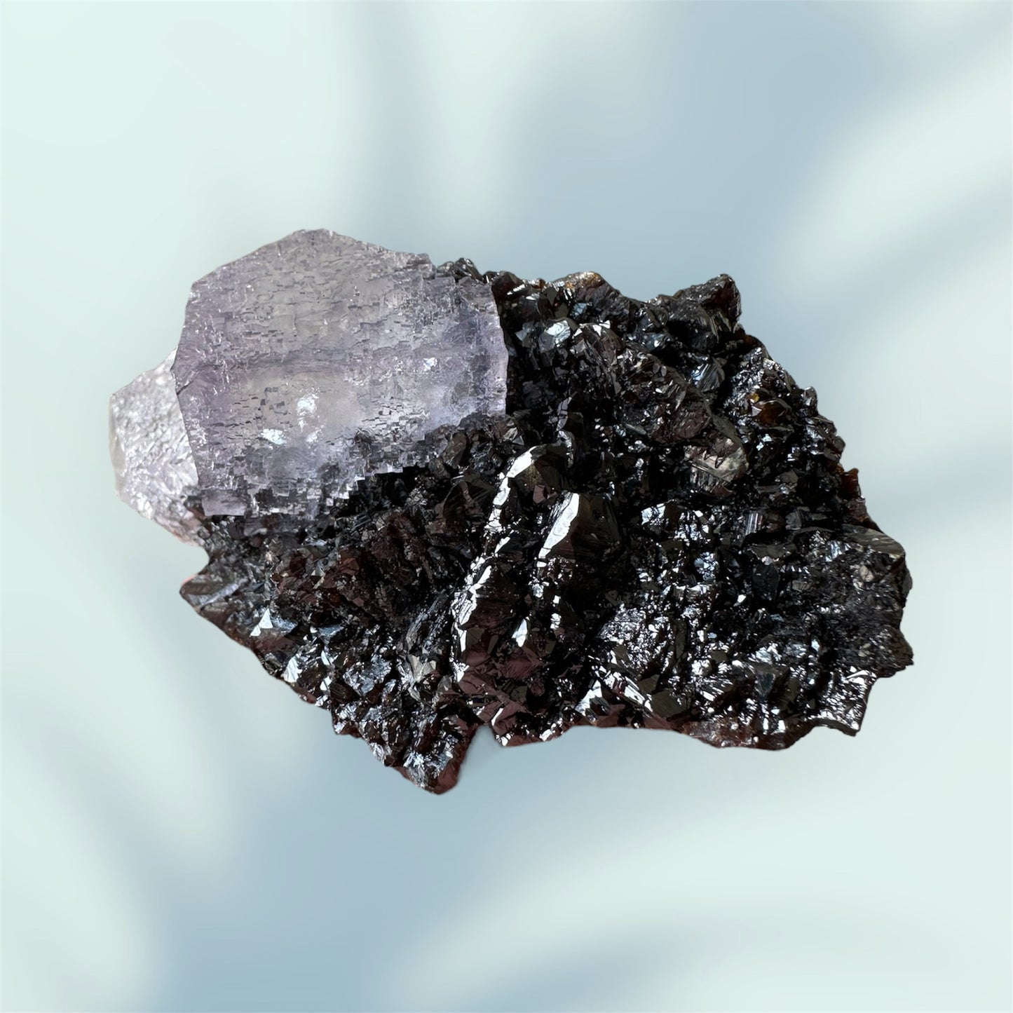 Elmwood Fluorite on Sphalerite
