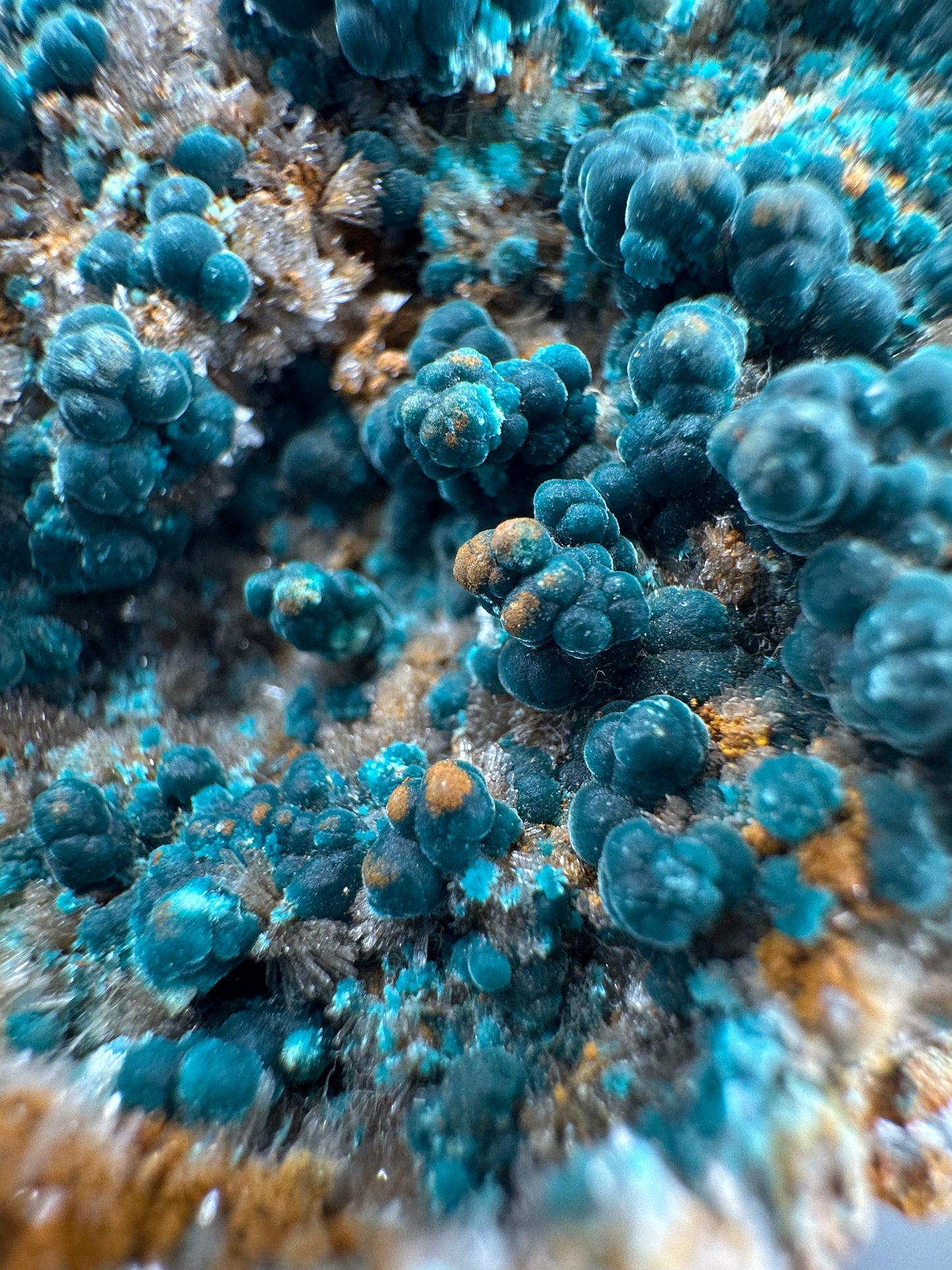 Rosasite, Durango, MX (old collection)