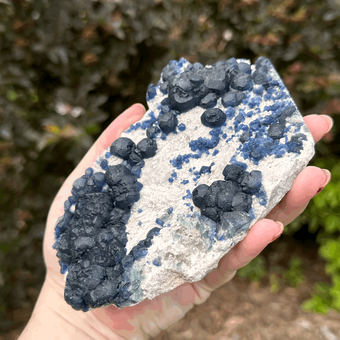 Botryoidal (Blueberry) Fluorite from Inner Mongolia (4"x6")