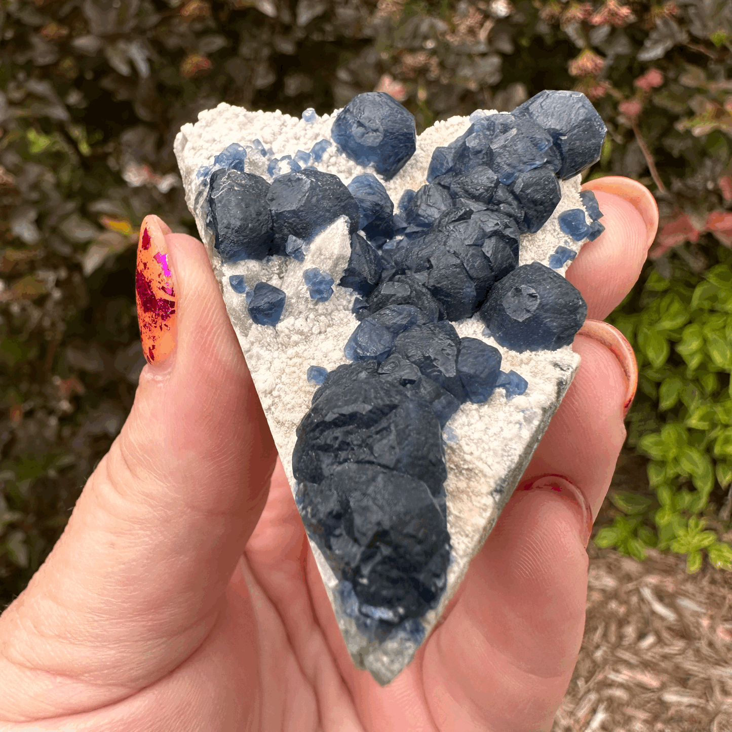 Botryoidal (Blueberry) Fluorite "Slice of Pie"