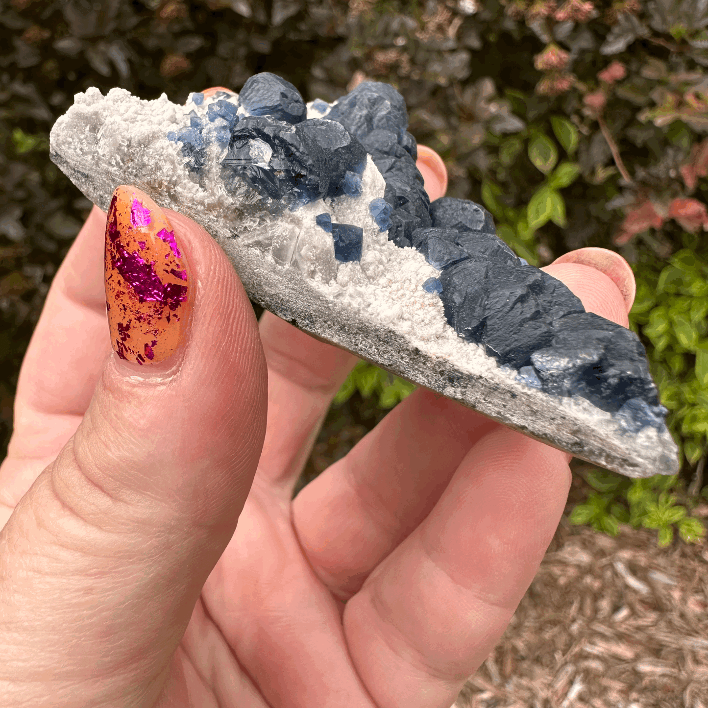 Botryoidal (Blueberry) Fluorite "Slice of Pie"
