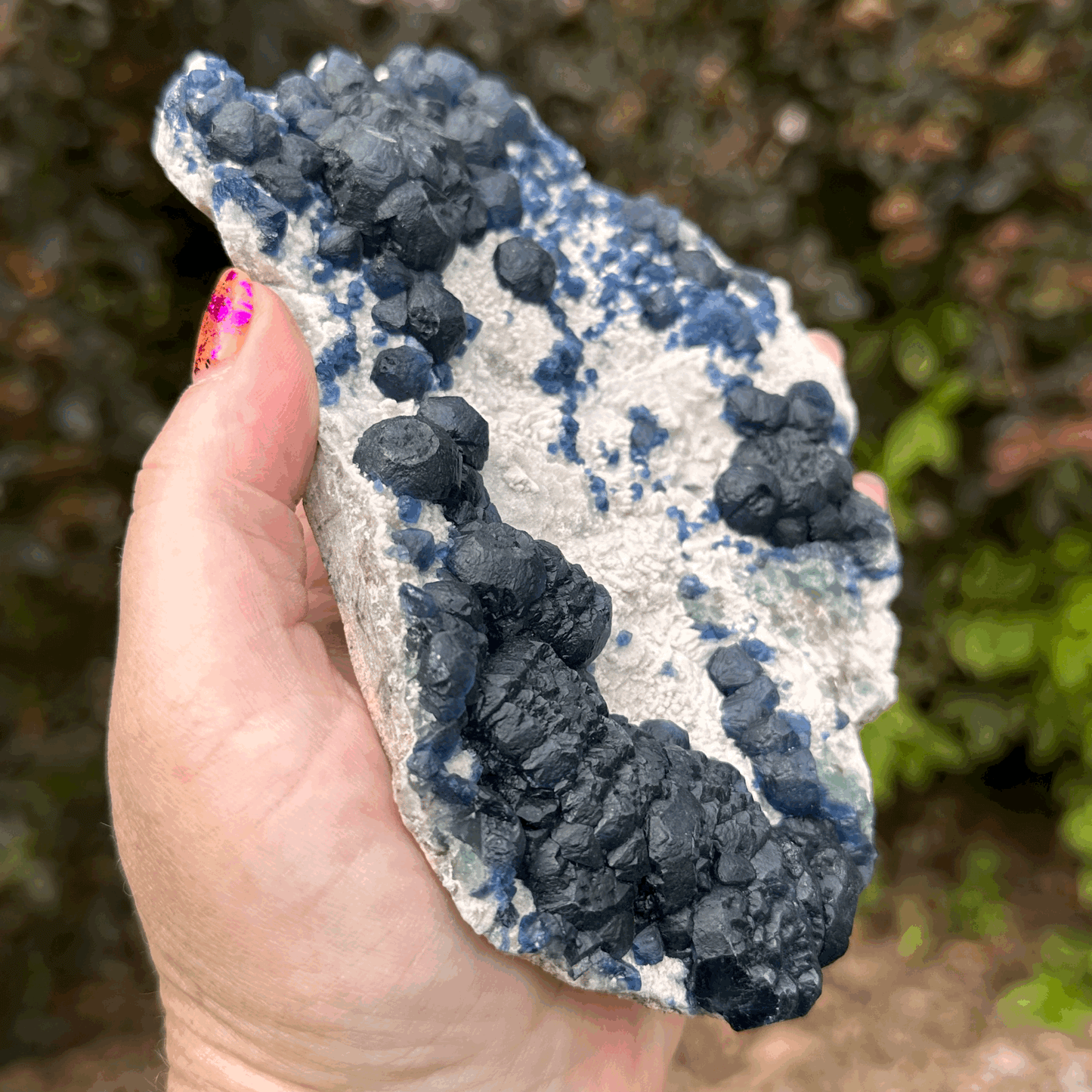 Botryoidal (Blueberry) Fluorite from Inner Mongolia (4"x6")