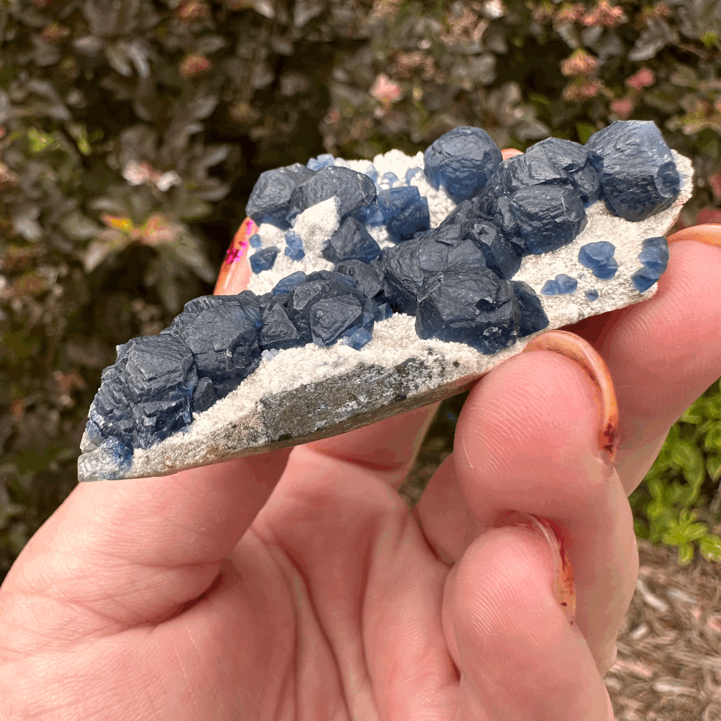 Botryoidal (Blueberry) Fluorite "Slice of Pie"