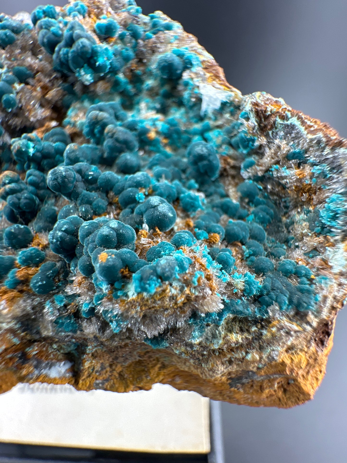 Rosasite, Durango, MX (old collection)