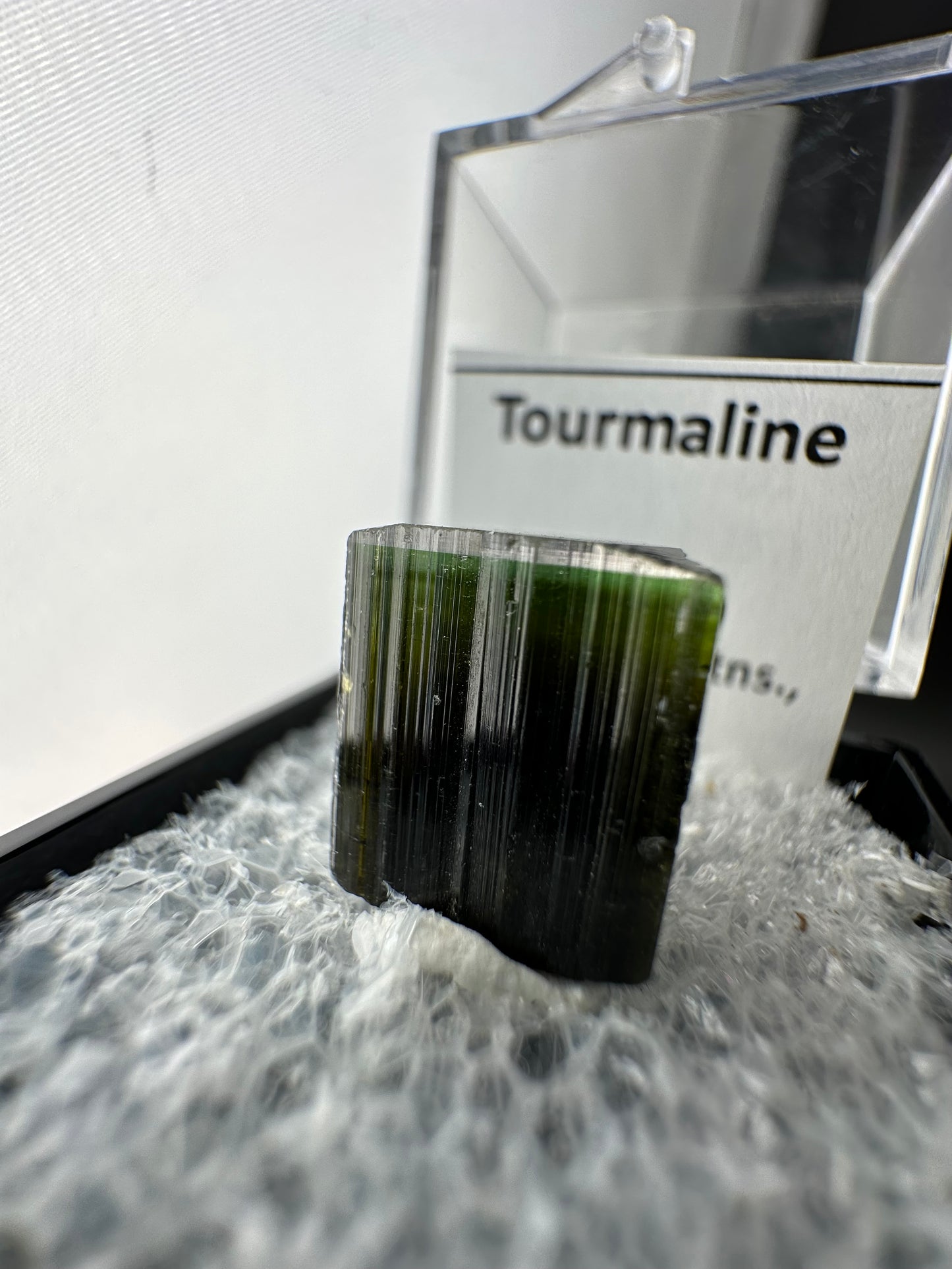 Clear cap, tri-colour Tourmaline: Stak Nala, Pakistan