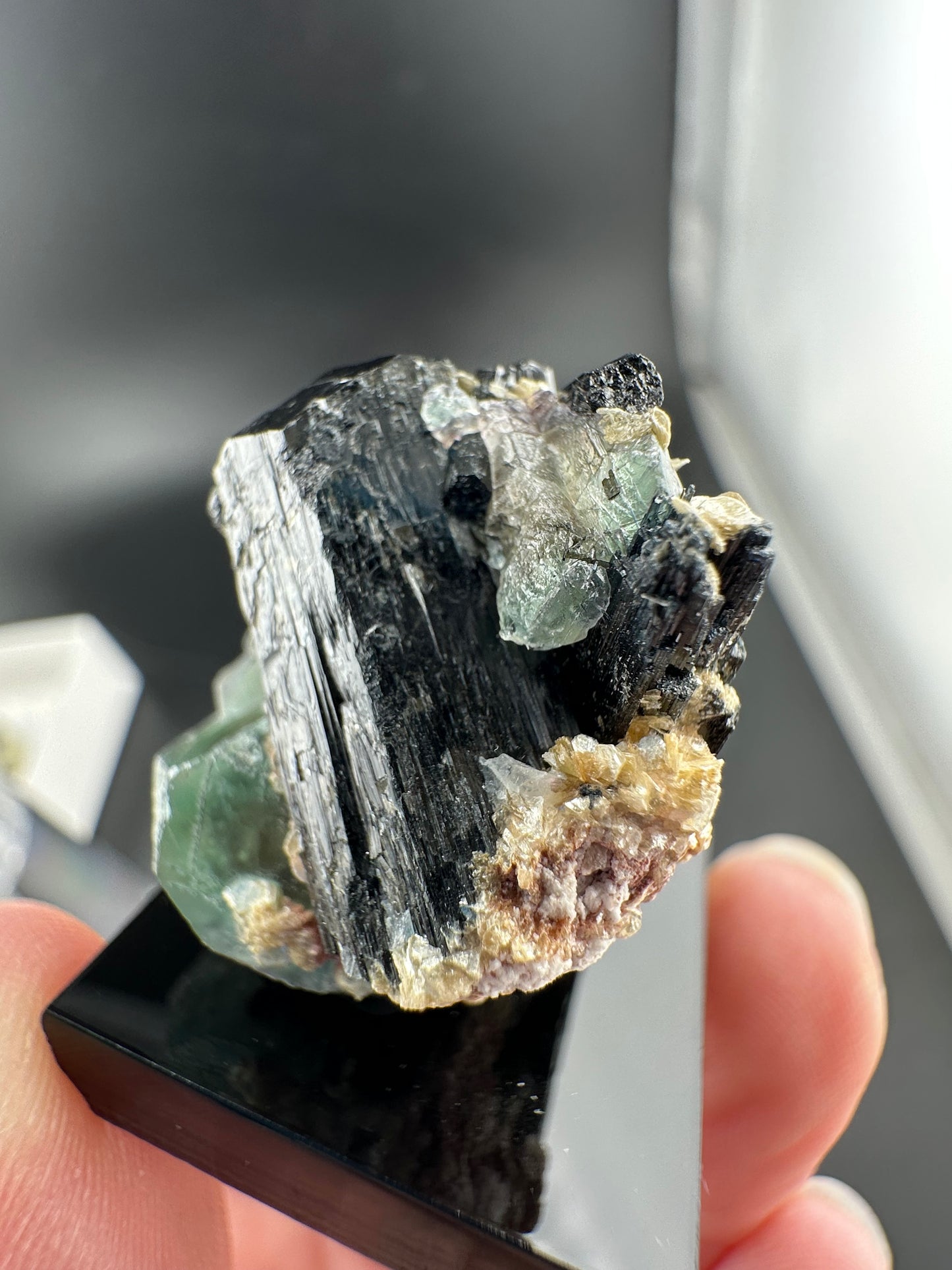 Lollipop Pocket, Erongo Mtns Namibia: Fluorite & Schorl