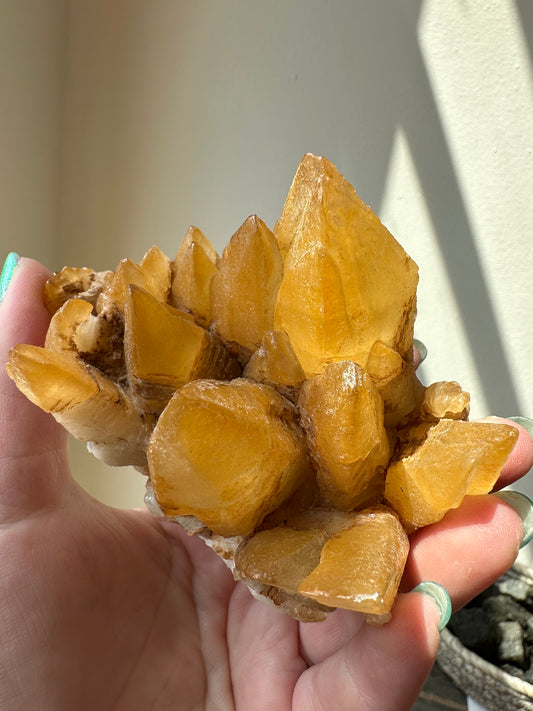 Honey dogtooth Calcite cluster. Morocco.