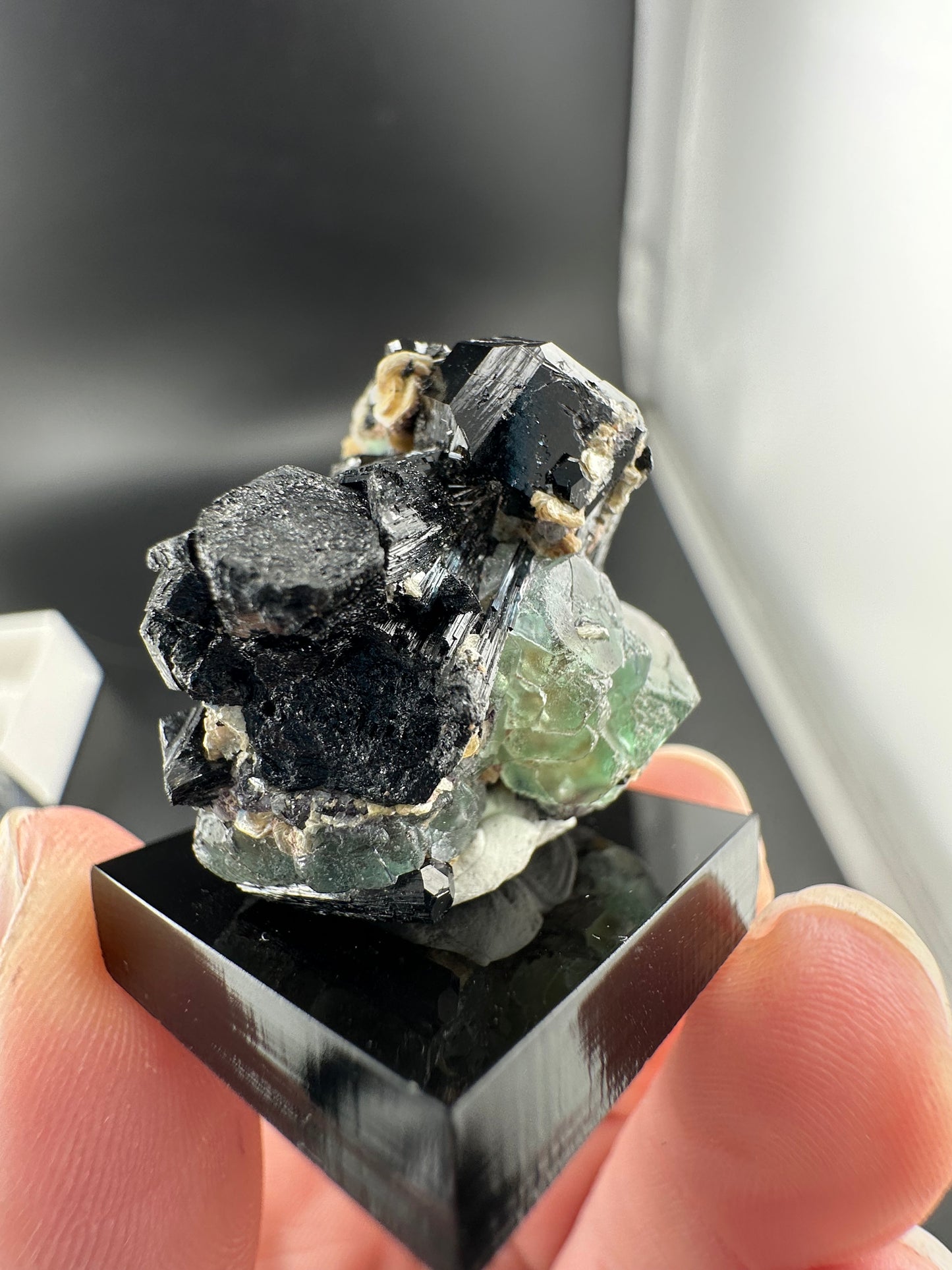 Lollipop Pocket, Erongo Mtns Namibia: Fluorite & Schorl