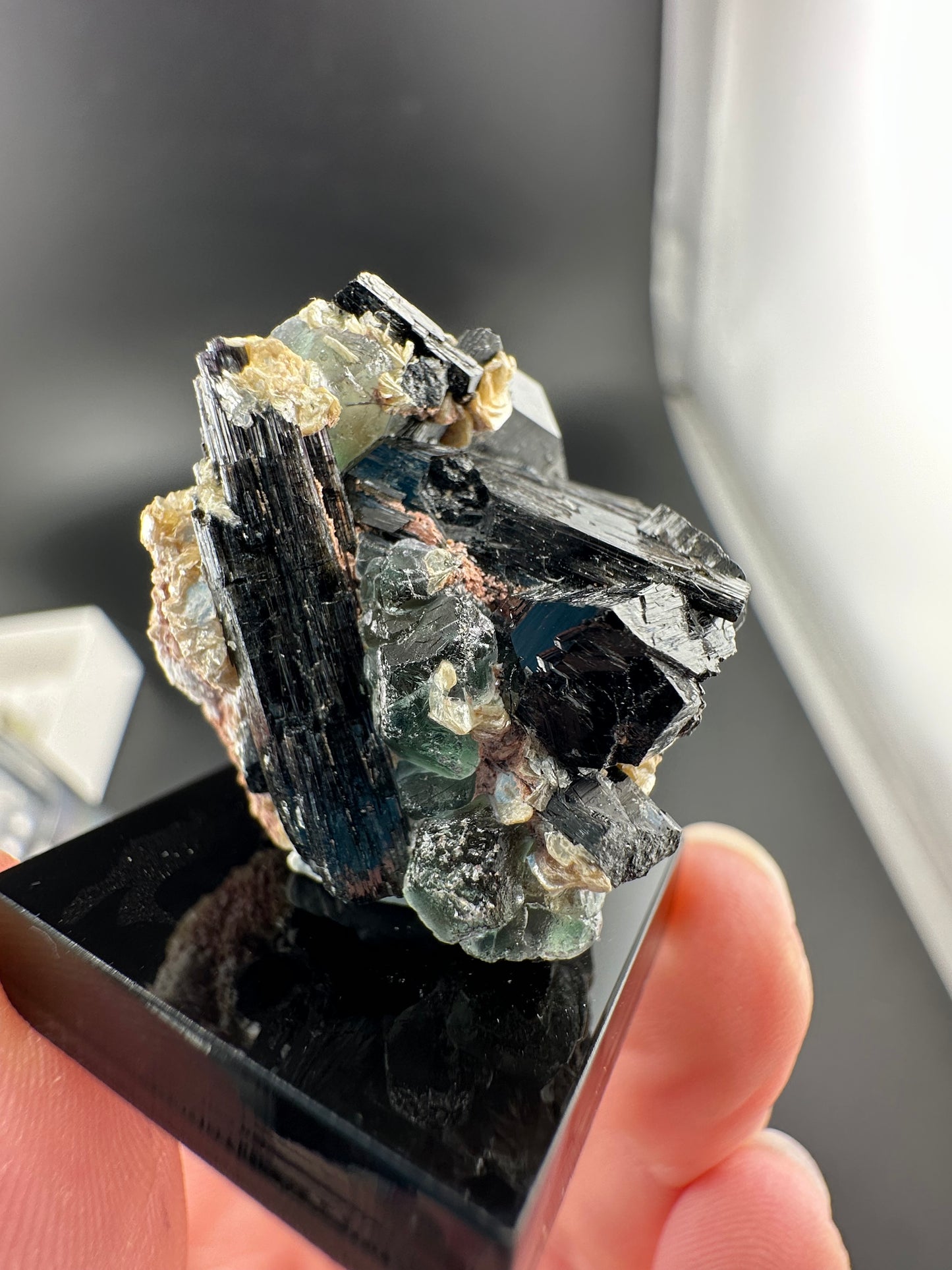 Lollipop Pocket, Erongo Mtns Namibia: Fluorite & Schorl