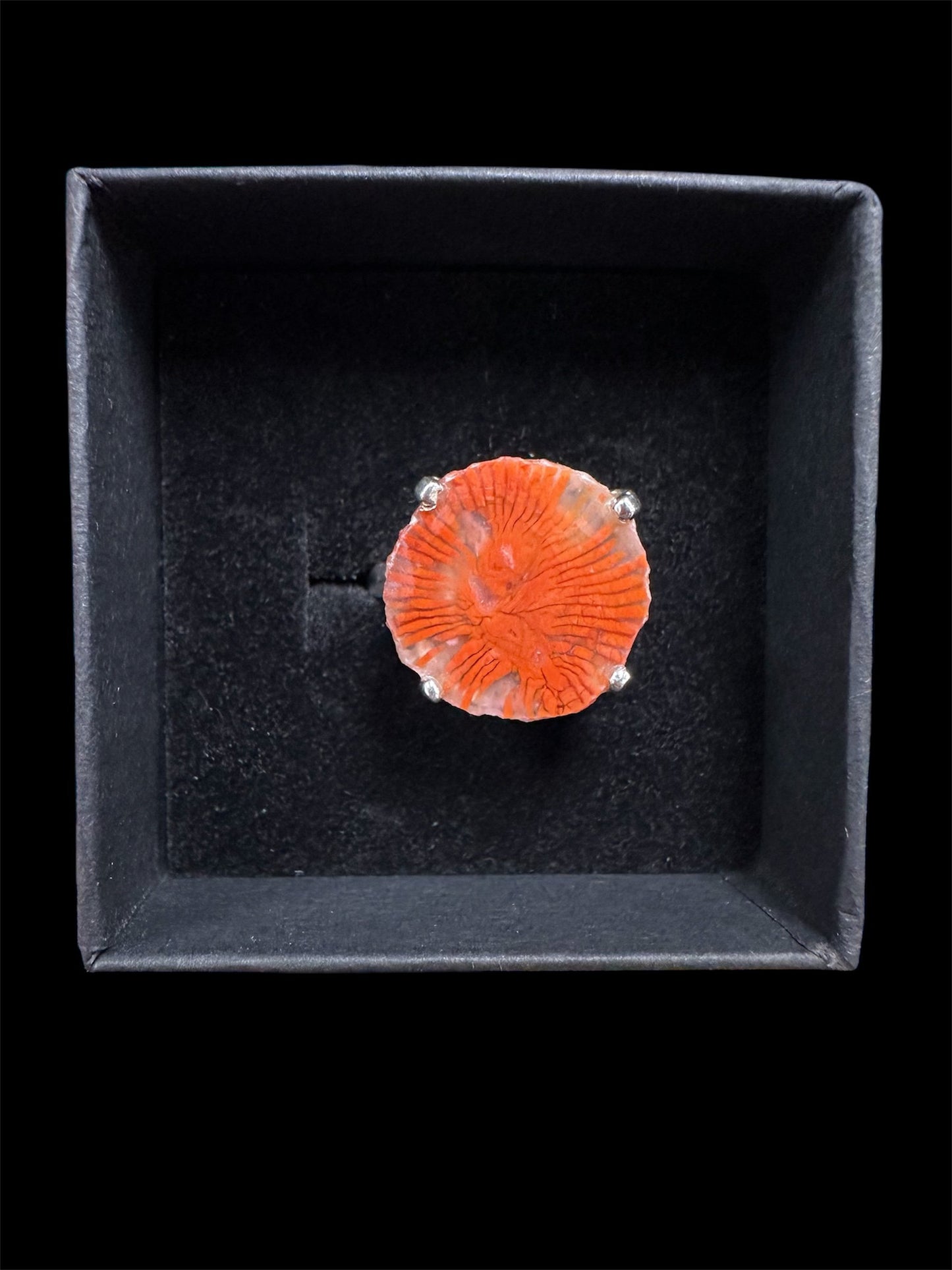 Red Horn Coral set in silver (fossilized coral/chalcedony from Utah) sz. 7.75