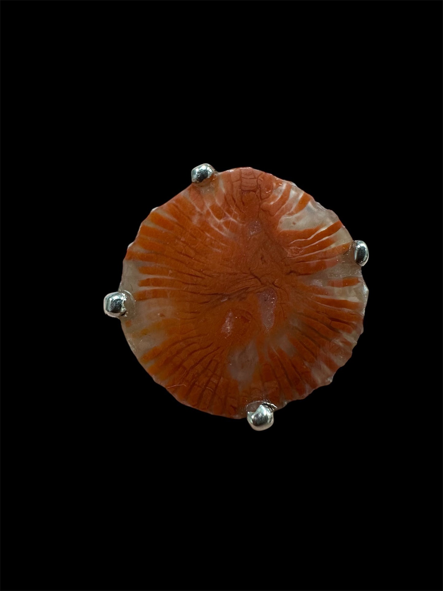 Red Horn Coral set in silver (fossilized coral/chalcedony from Utah) sz. 7.75
