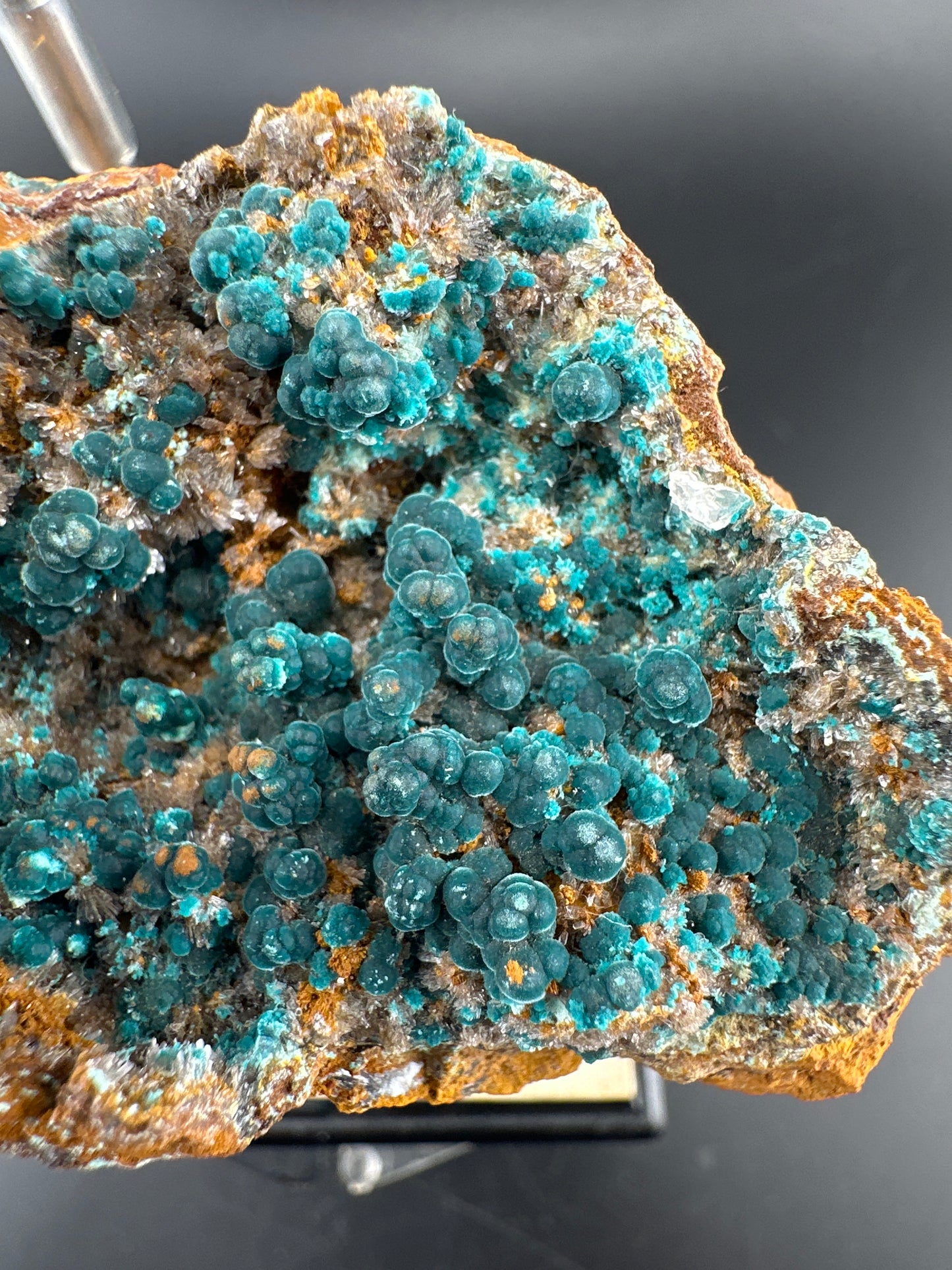 Rosasite, Durango, MX (old collection)