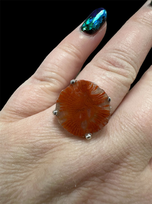 Red Horn Coral set in silver (fossilized coral/chalcedony from Utah) sz. 7.75