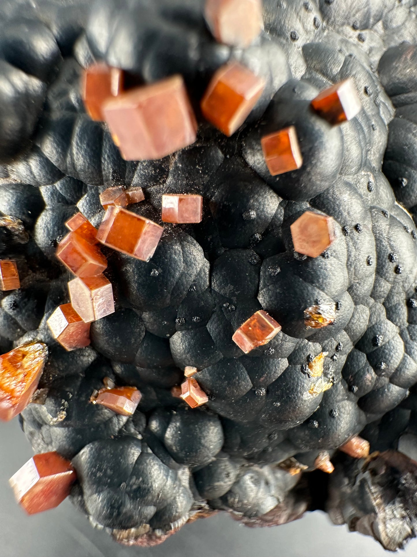 Vanadinite on botryoidal hematite: Morocco