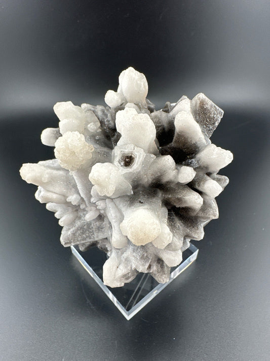 Snowball-tipped Dogtooth Calcite, Santa Eulalia, Mexico