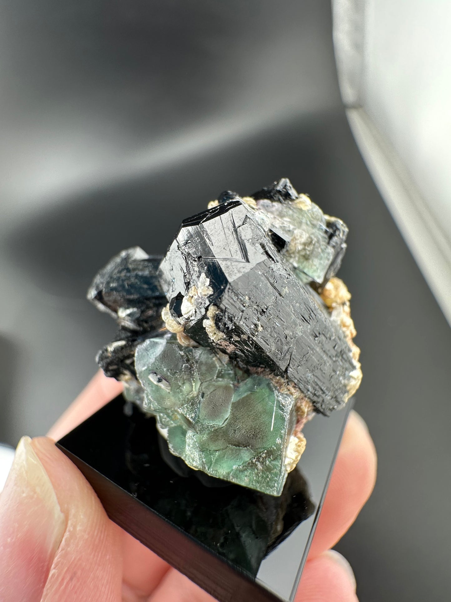 Lollipop Pocket, Erongo Mtns Namibia: Fluorite & Schorl