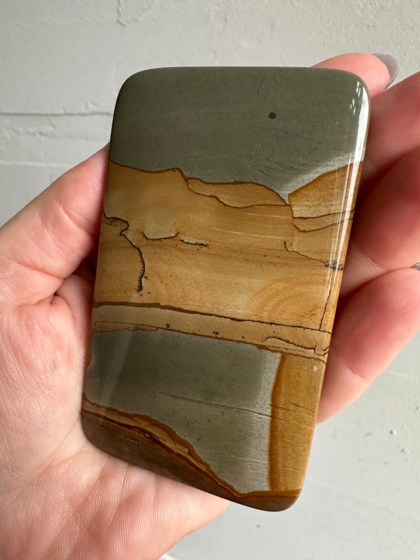 Owyhee Jasper cabachon /slab 3.5”x2”