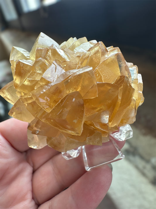 Honey Calcite cluster, Fujian. UV