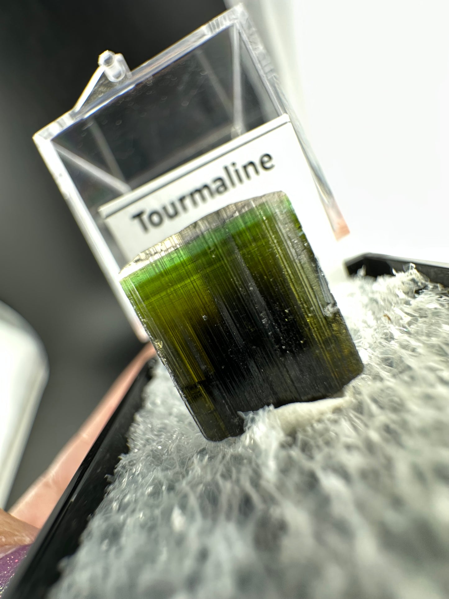 Clear cap, tri-colour Tourmaline: Stak Nala, Pakistan