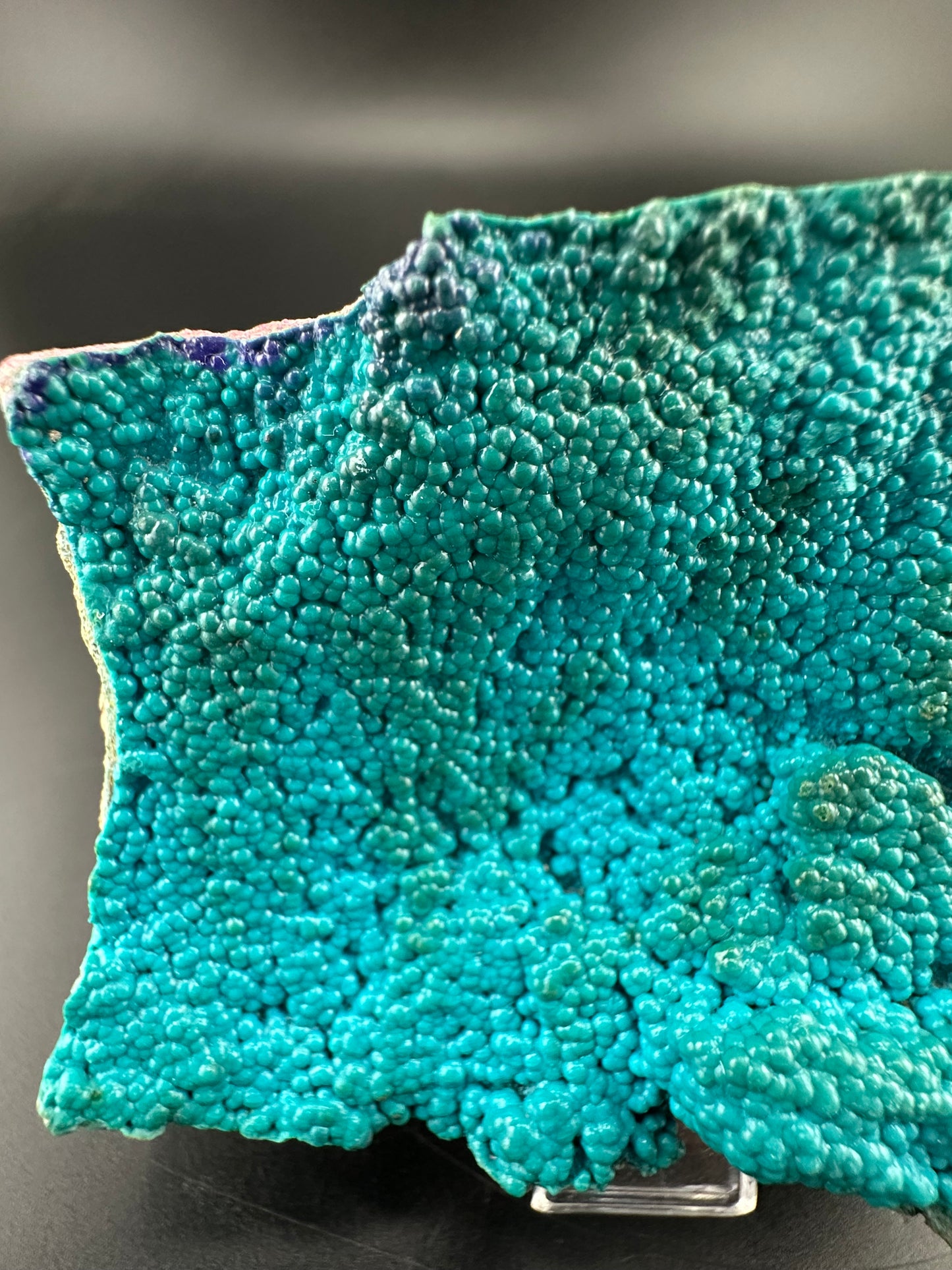 Botryoidal Chrysocolla, Congo