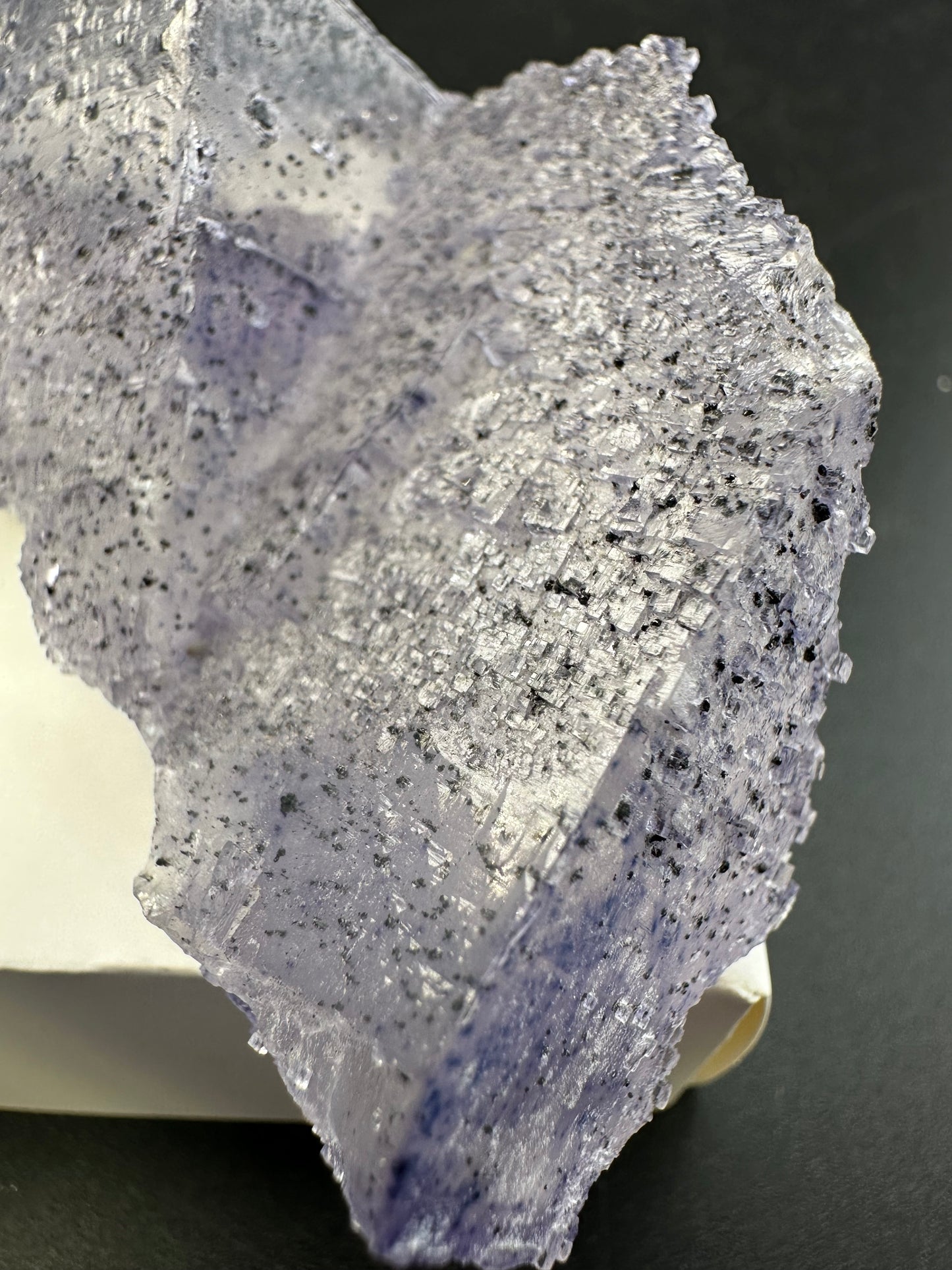 Elmwood Fluorite with spots, semi floater