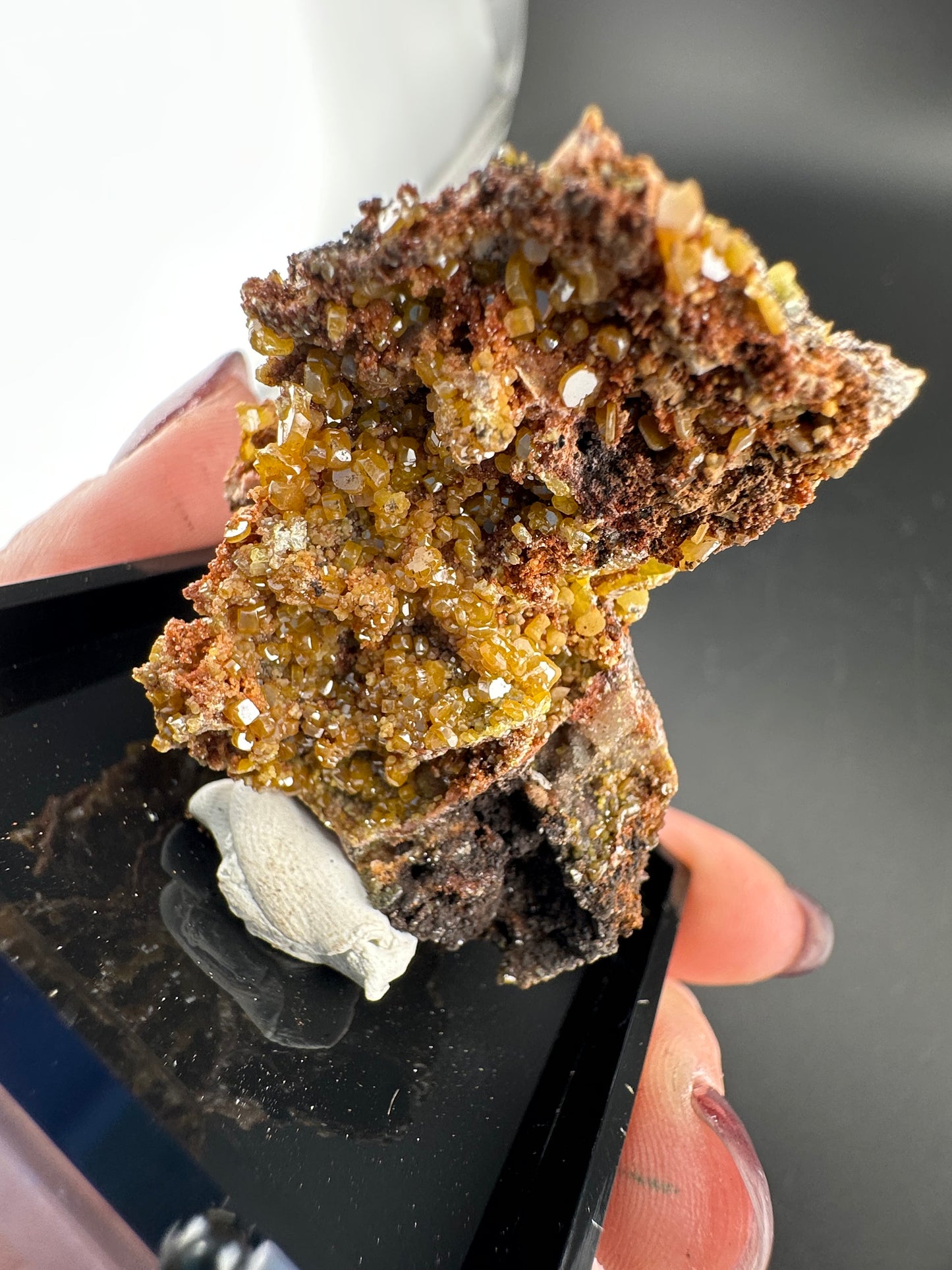 Wulfenite & uv-reactive Mimetite, La Morita Mine, Mexico