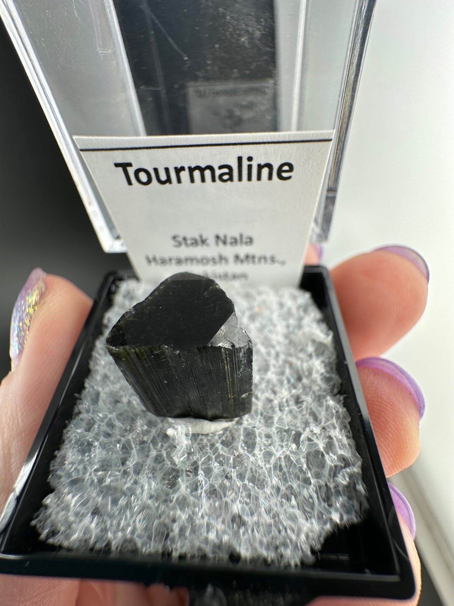 Clear cap, tri-colour Tourmaline: Stak Nala, Pakistan