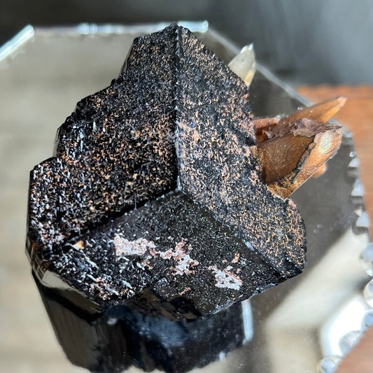 Smoky Quartz, Black Tourmaline (schorl) with Benz termination, Erongo Mtns, Namibia