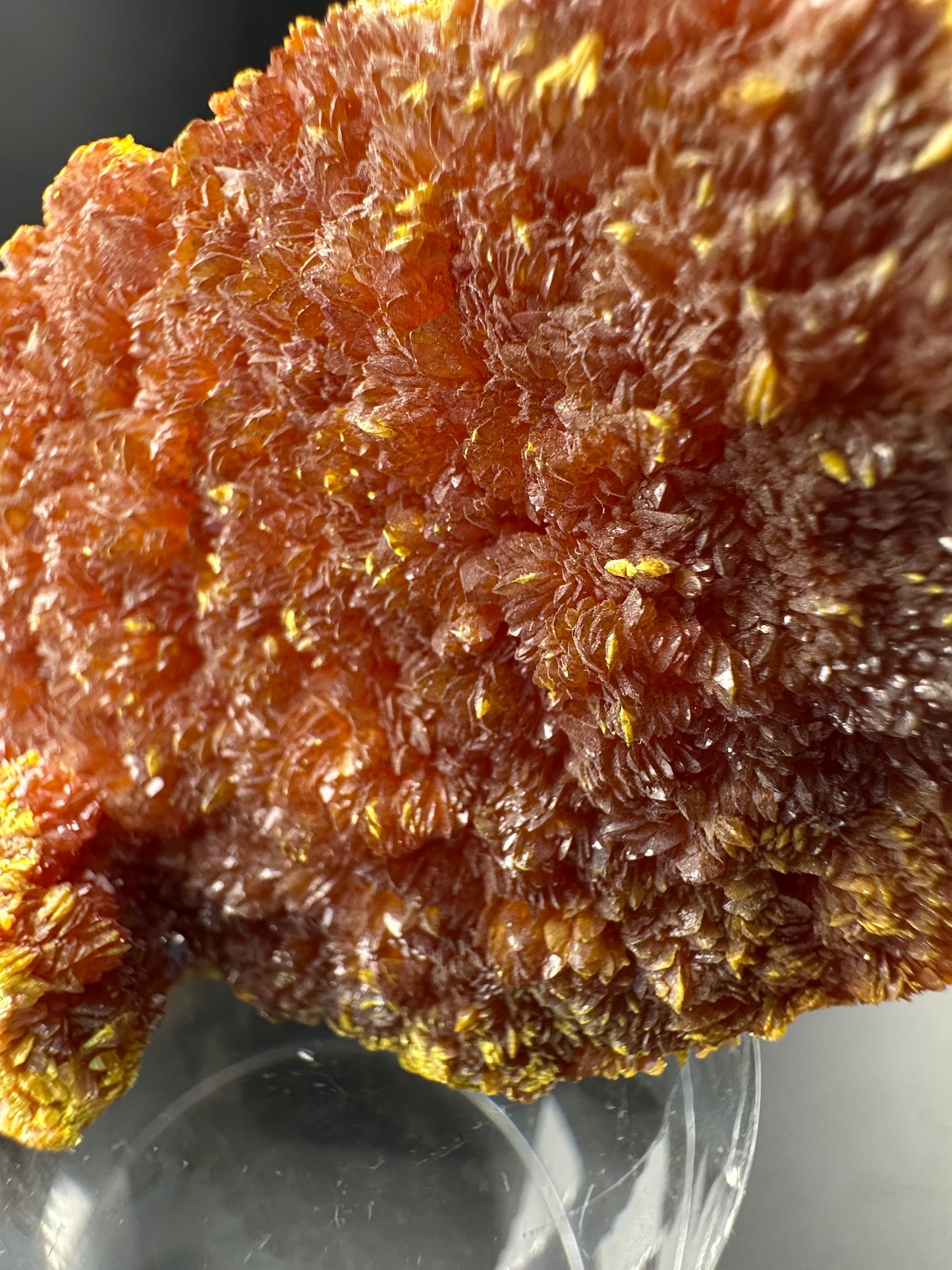 Realgar, Orpiment; Siberia, Russia