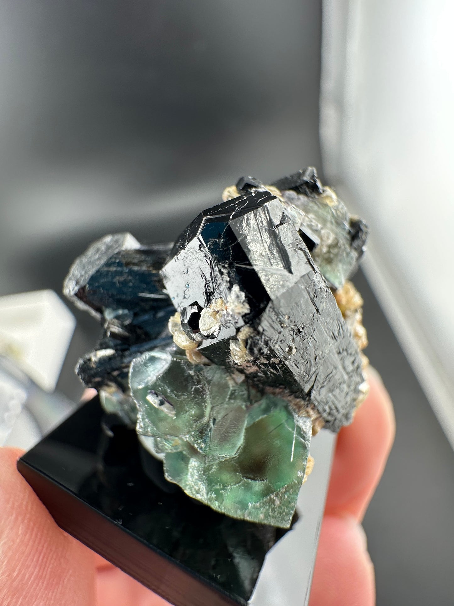 Lollipop Pocket, Erongo Mtns Namibia: Fluorite & Schorl