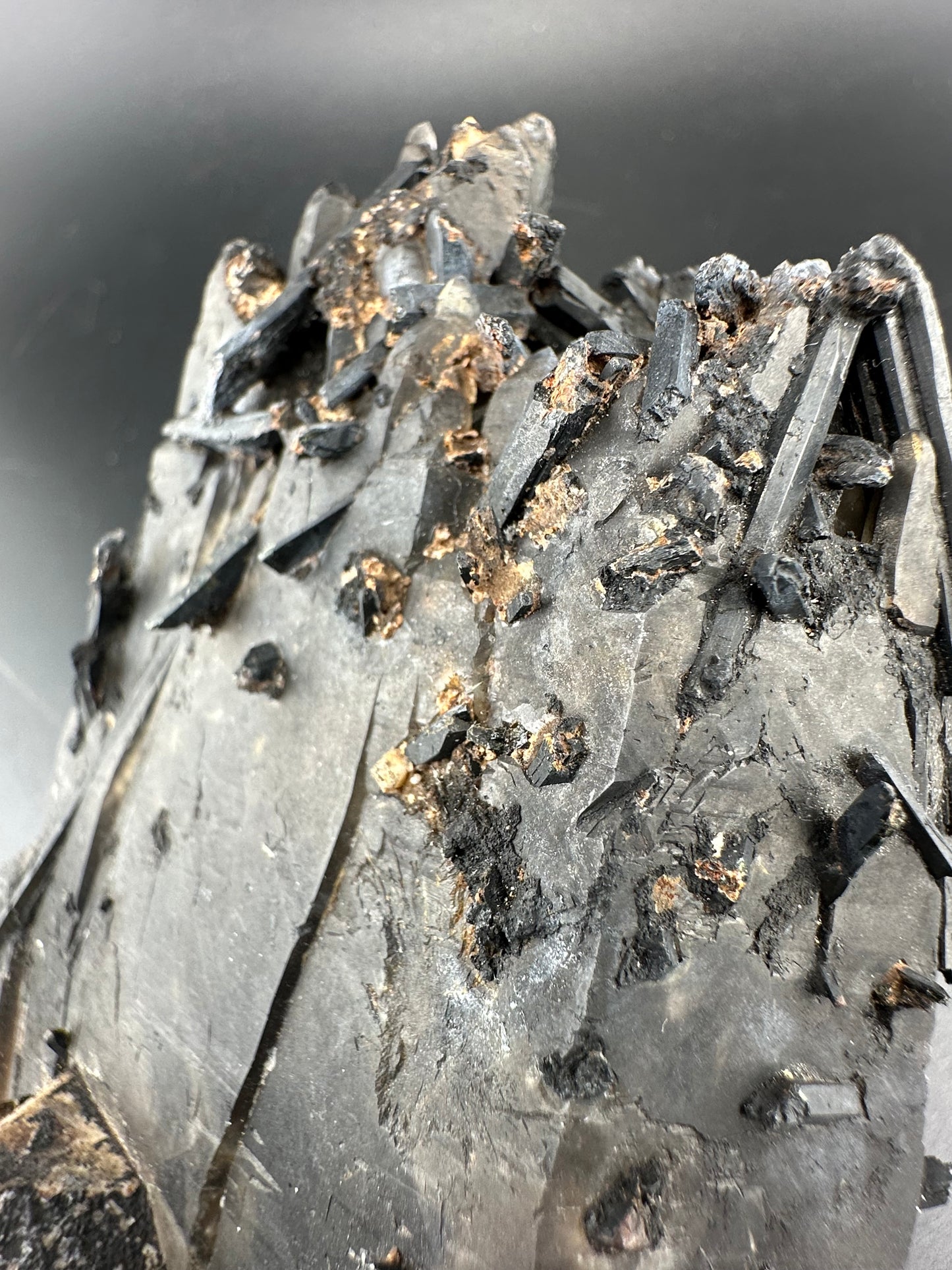Aegirine in Smoky Quartz; Malawi