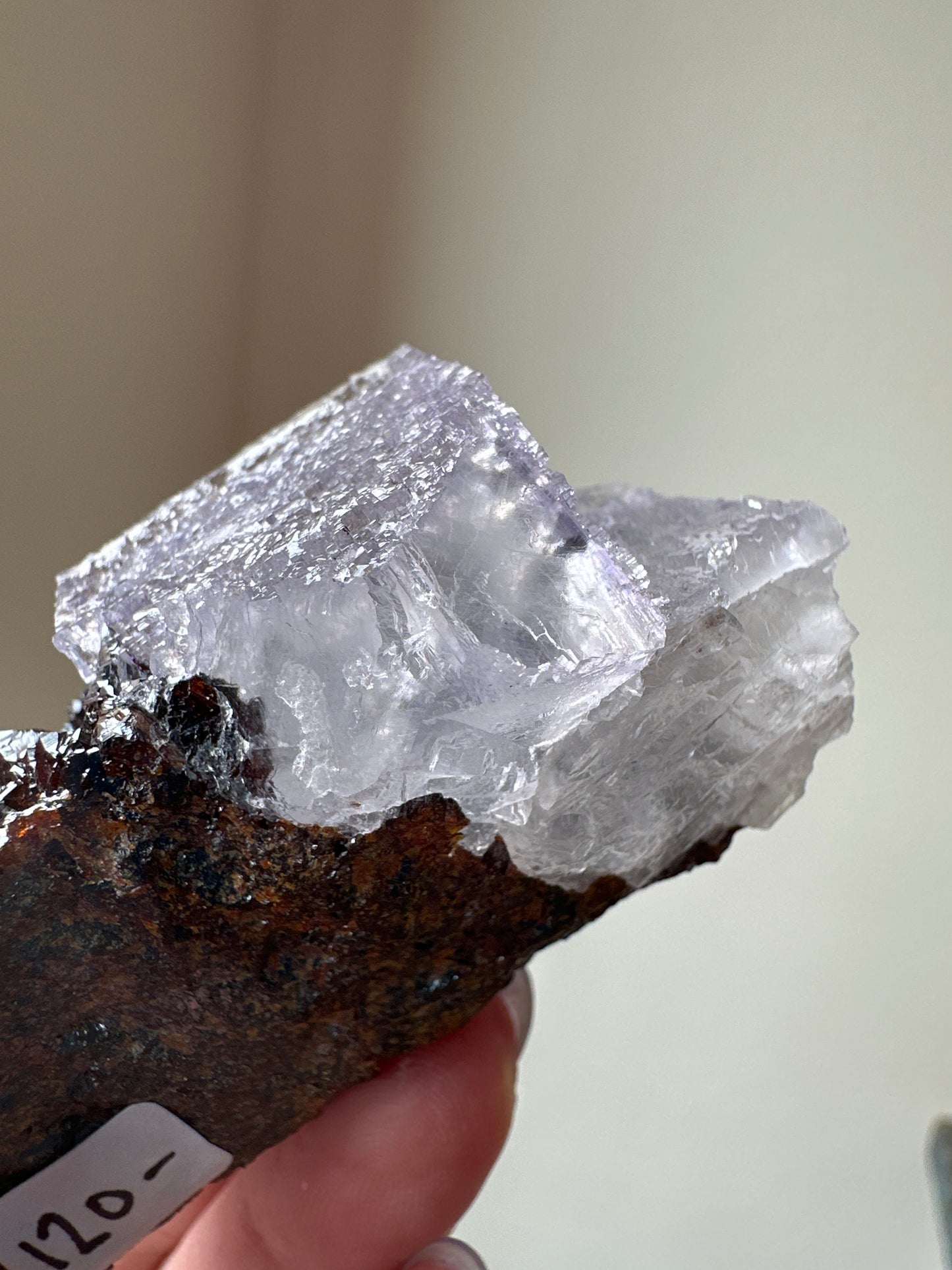 Elmwood Fluorite on Sphalerite