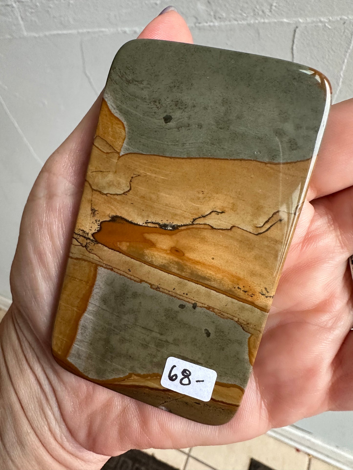 Owyhee Jasper cabachon /slab 3.5”x2”