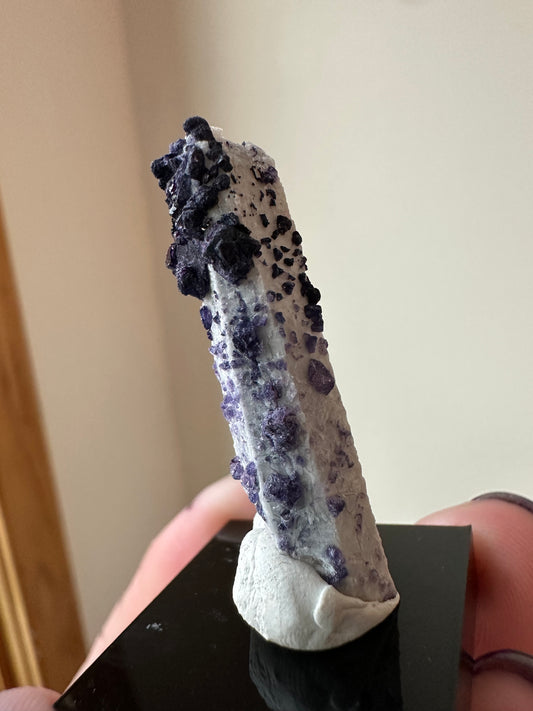 Inner Mongolia Fluorite on Candle Quartz