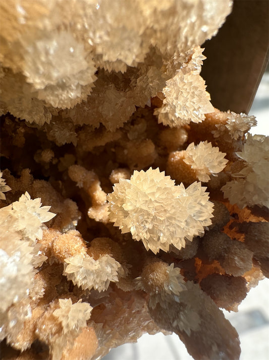 Cave Calcite flowers, Wenshan, Yunnan, China