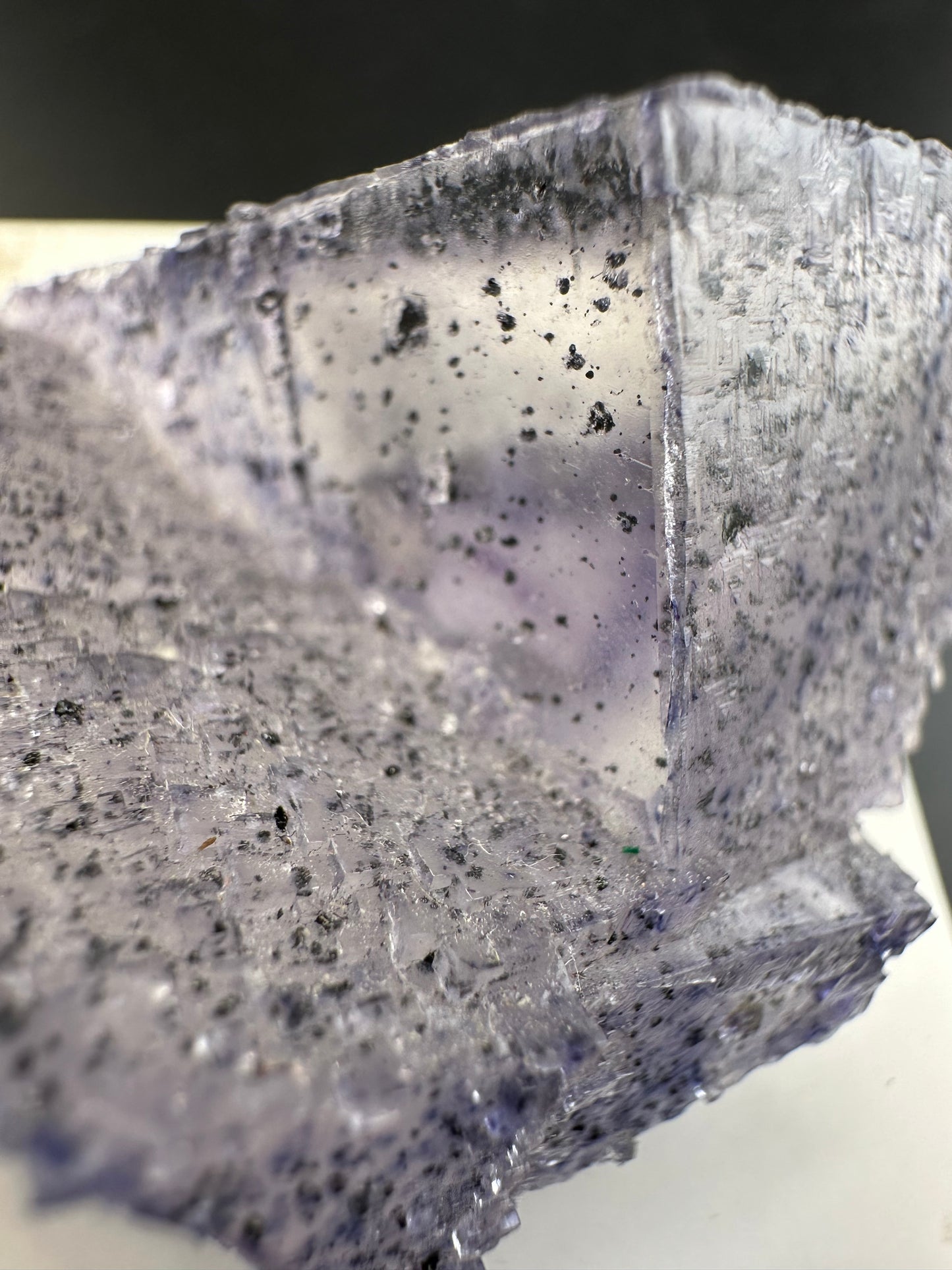 Elmwood Fluorite with spots, semi floater