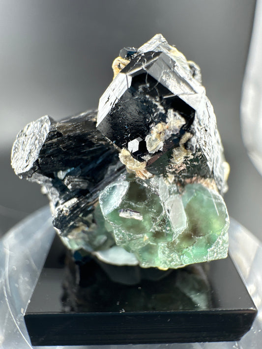 Lollipop Pocket, Erongo Mtns Namibia: Fluorite & Schorl