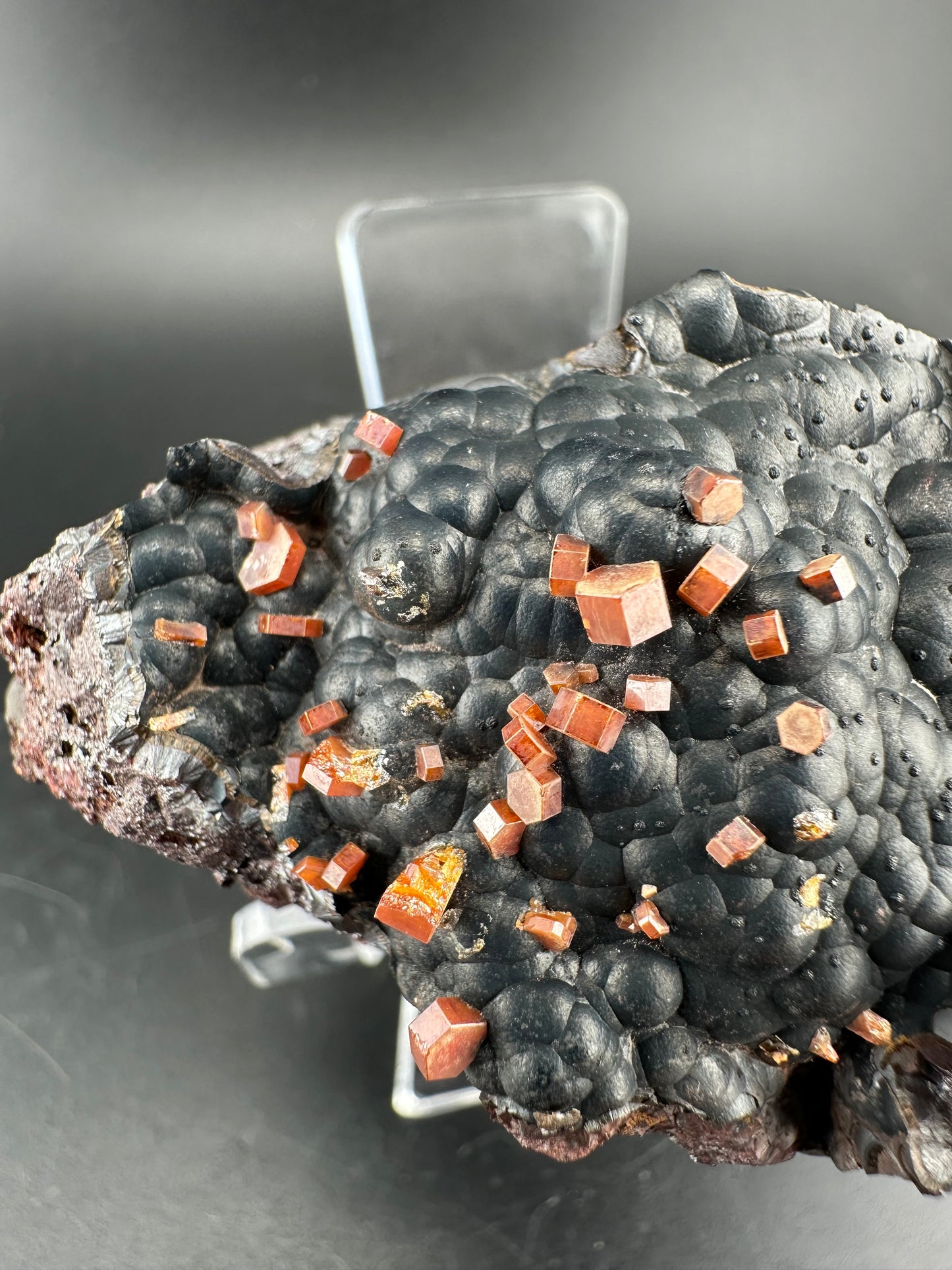 Vanadinite on botryoidal hematite: Morocco