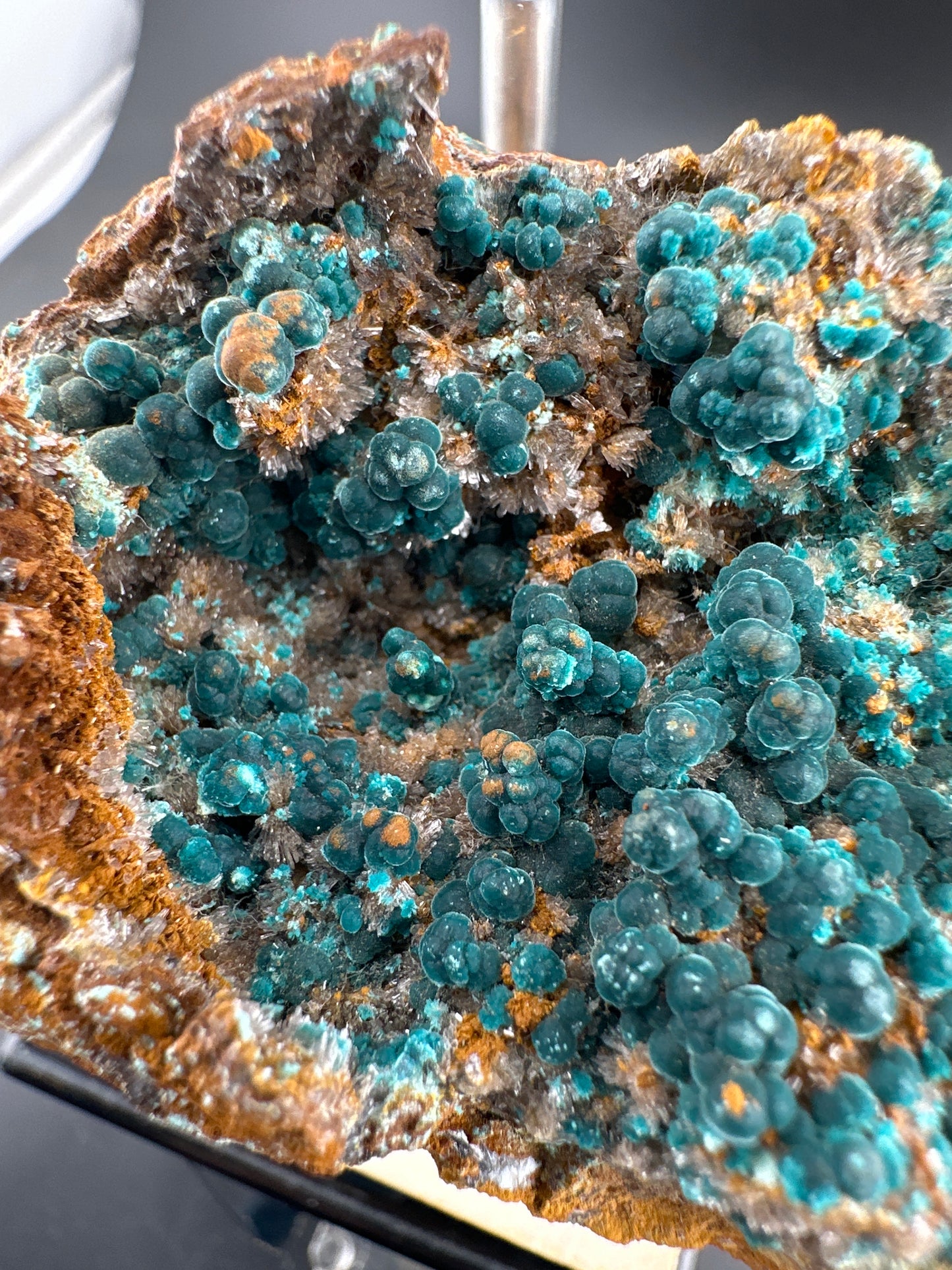 Rosasite, Durango, MX (old collection)