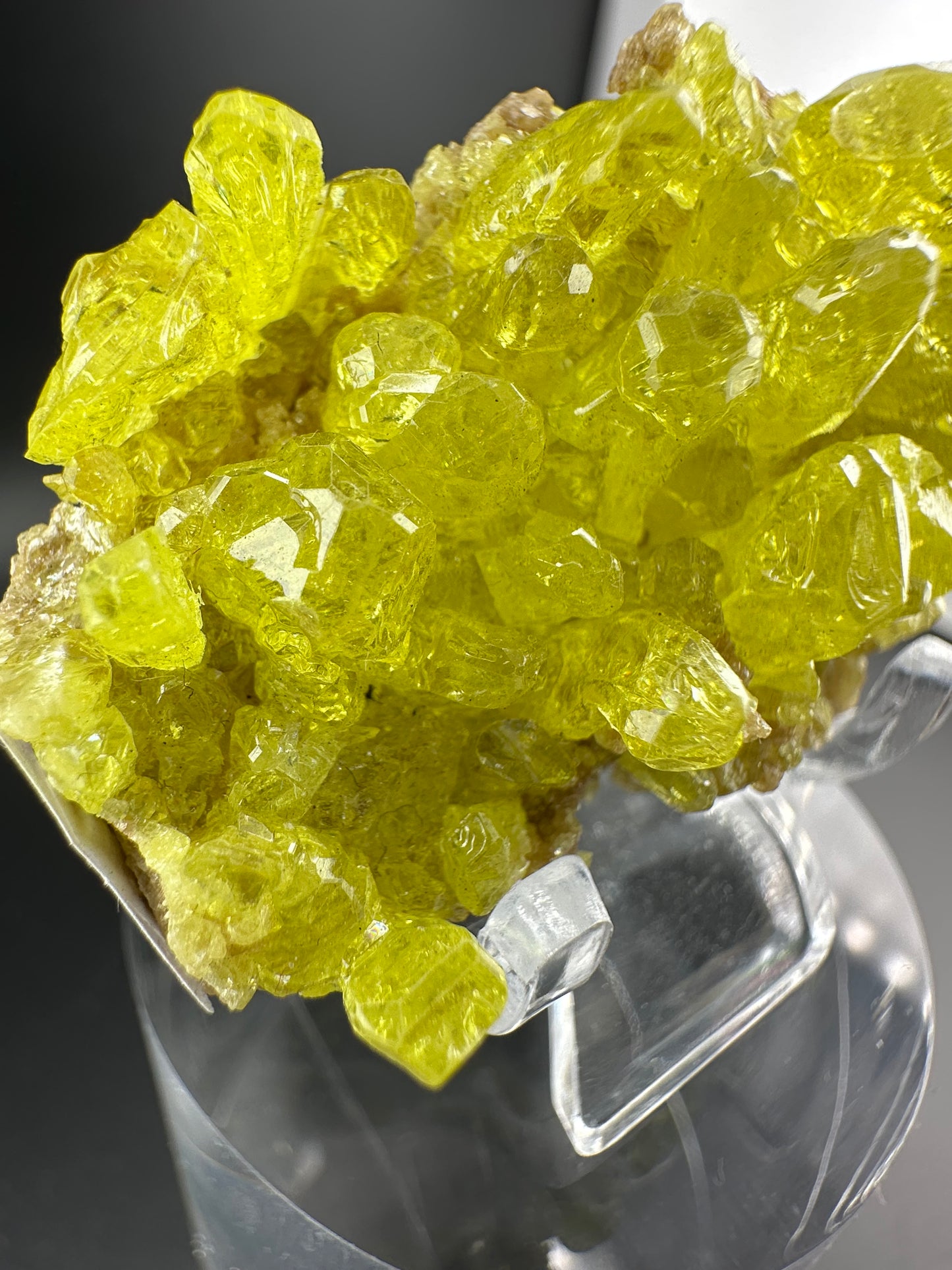 crystallized Sulfur (sulphur): Bolivia