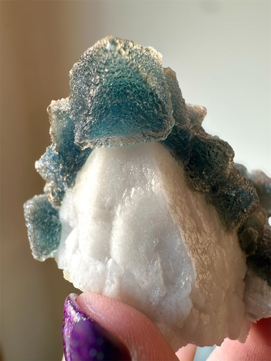 Blue/Green Octahedral Fluorite on Candle Quartz